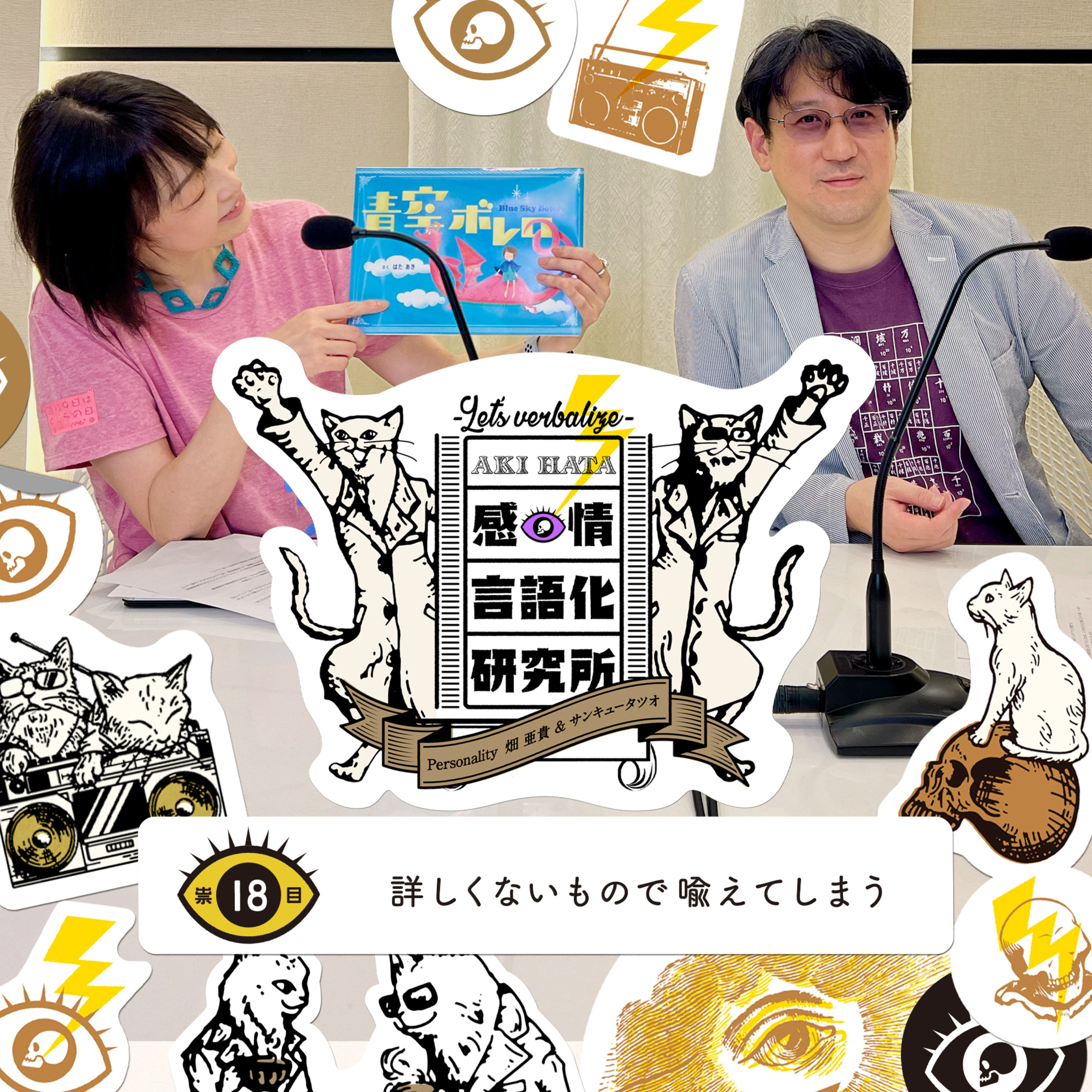 感情言語化研究所 018 “詳しくないもので喩えてしまう"