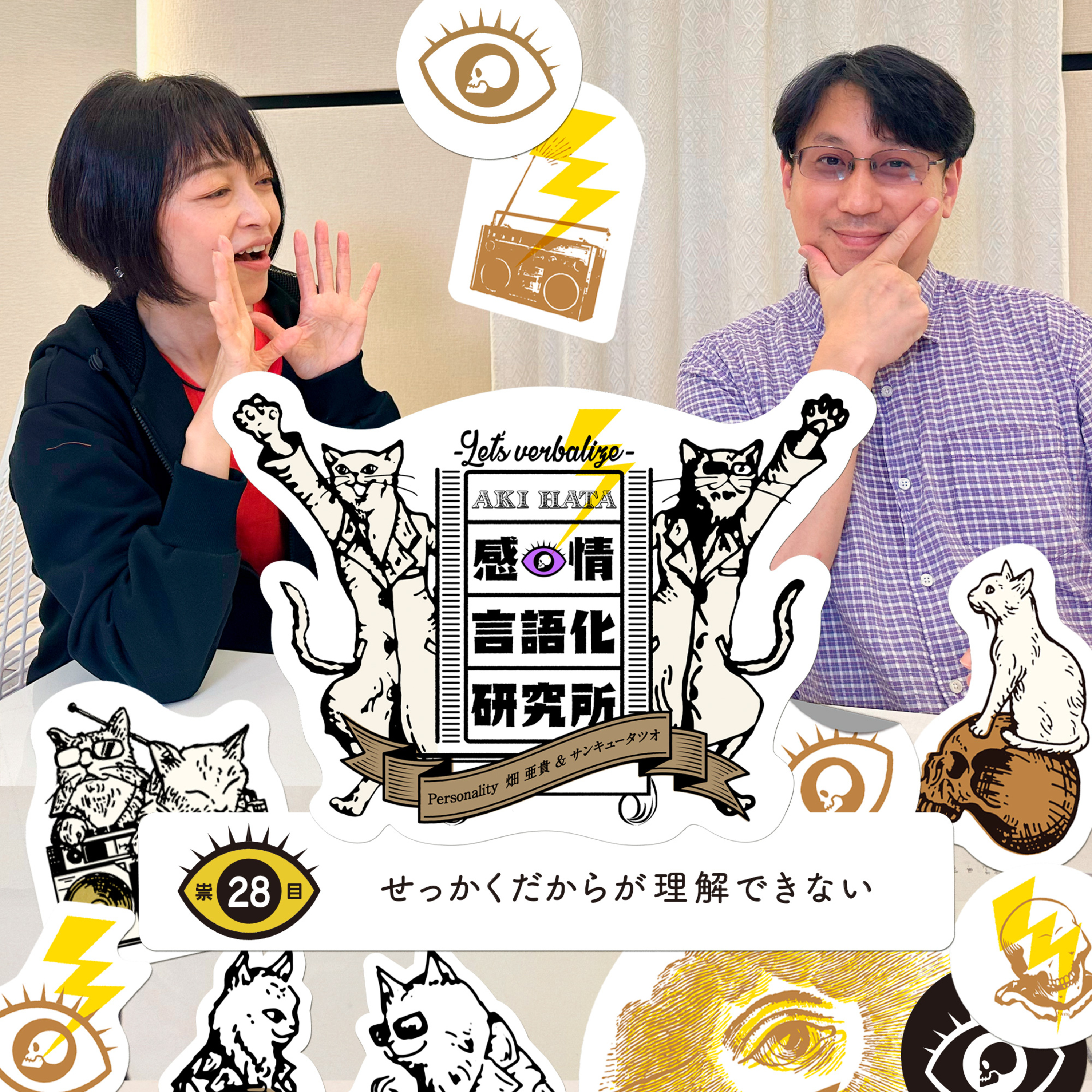 感情言語化研究所 028 “せっかくだからが理解できない”