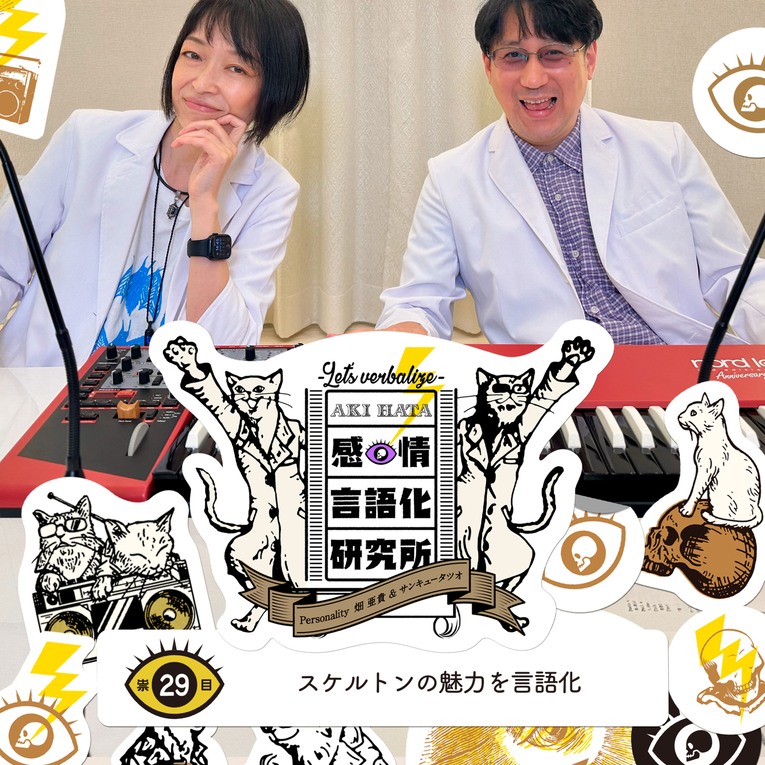 感情言語化研究所 029 “スケルトンの魅力を言語化”