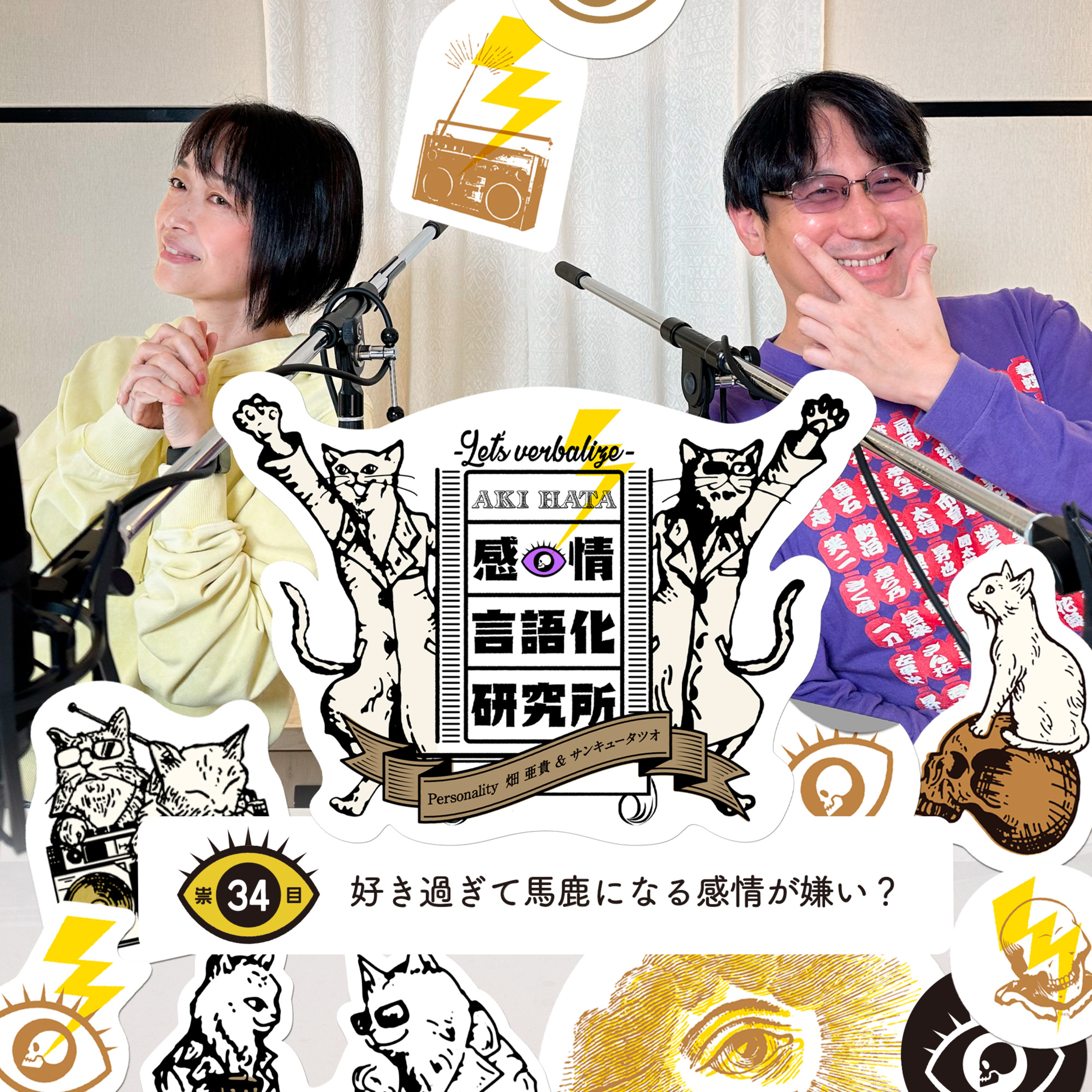 感情言語化研究所 034 “好き過ぎて馬鹿になる感情が嫌い？"