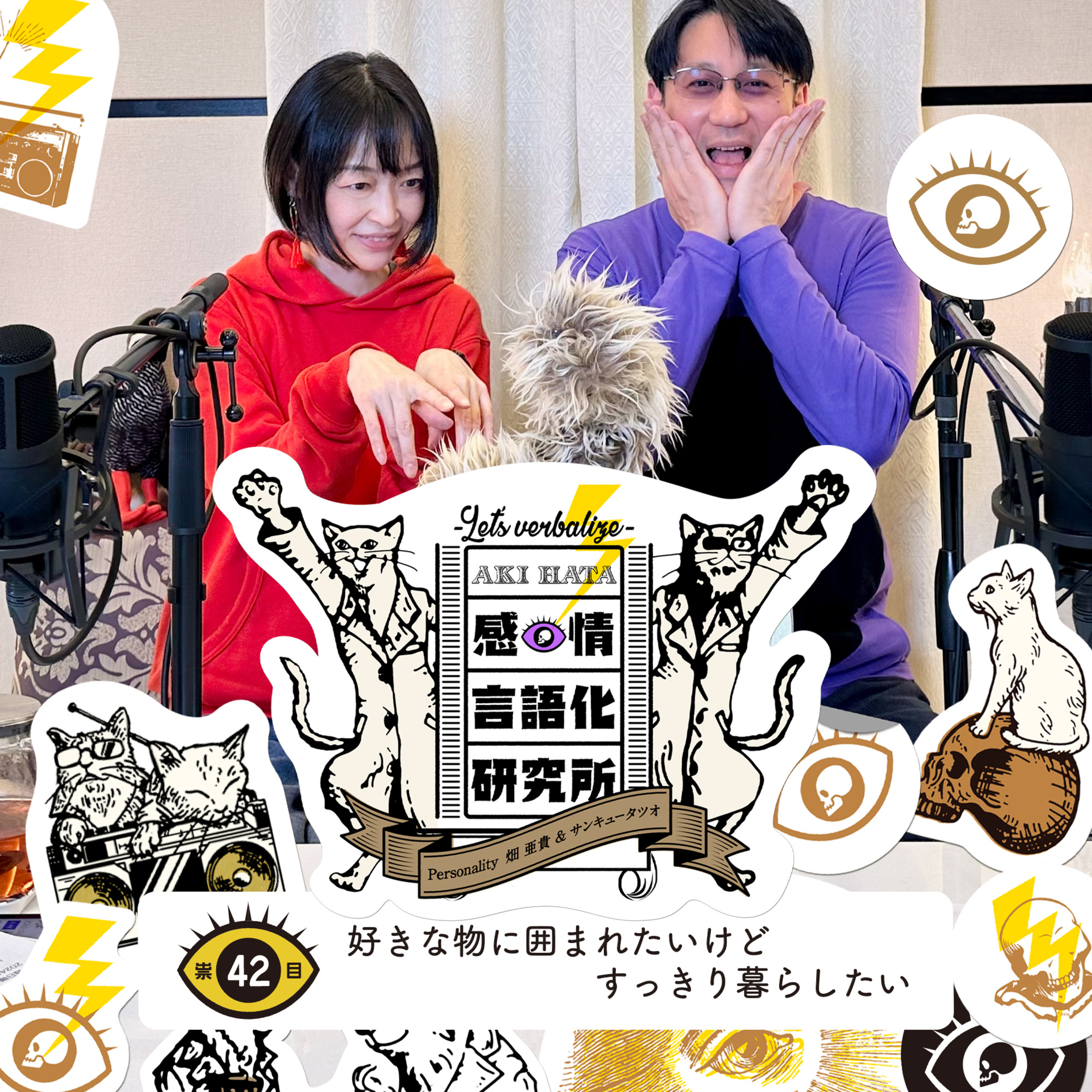 感情言語化研究所 042 “好きな物に囲まれたいけどすっきり暮らしたい"