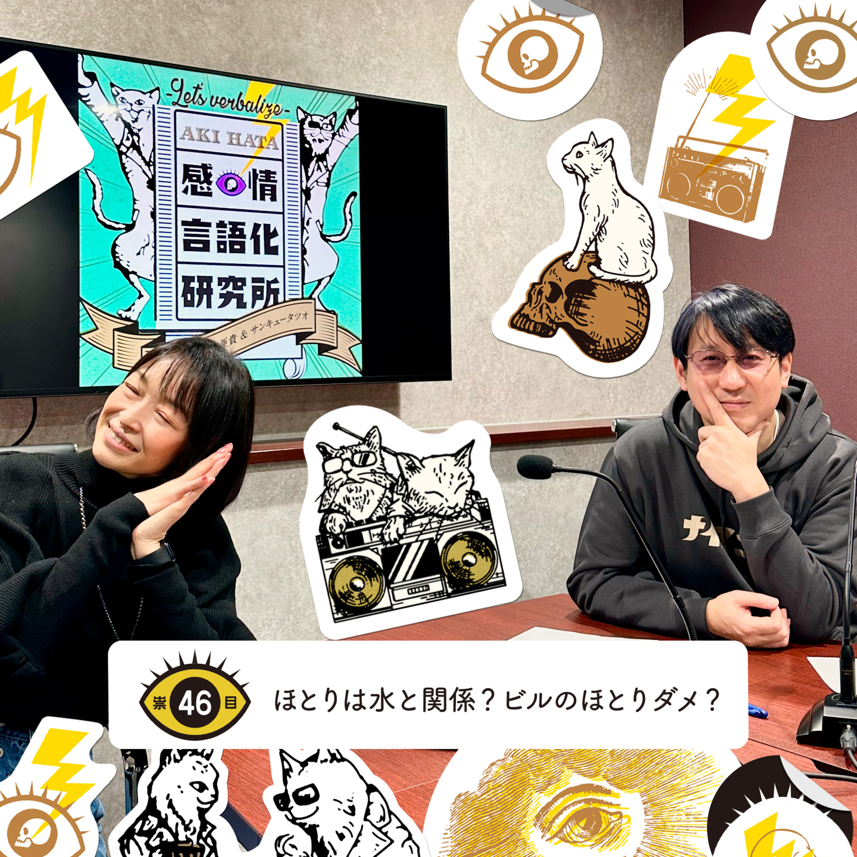 感情言語化研究所 046 “ほとりは水と関係？ビルのほとりダメ？”