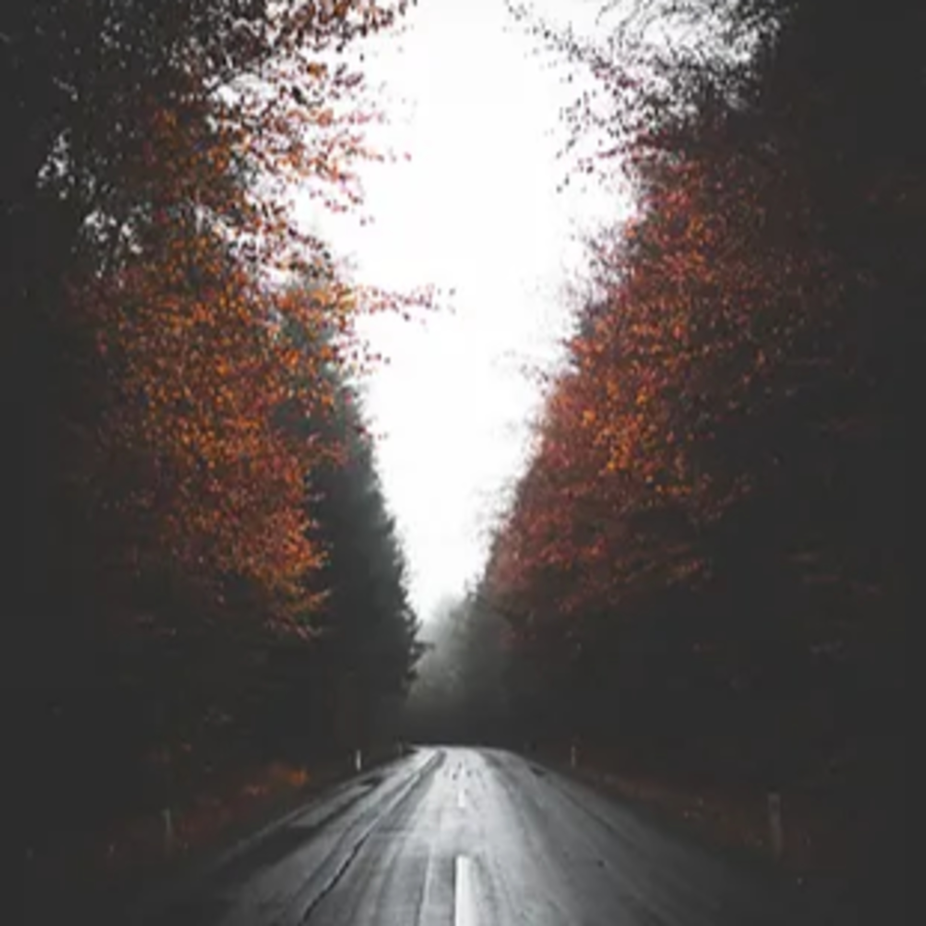 Ses Dergi