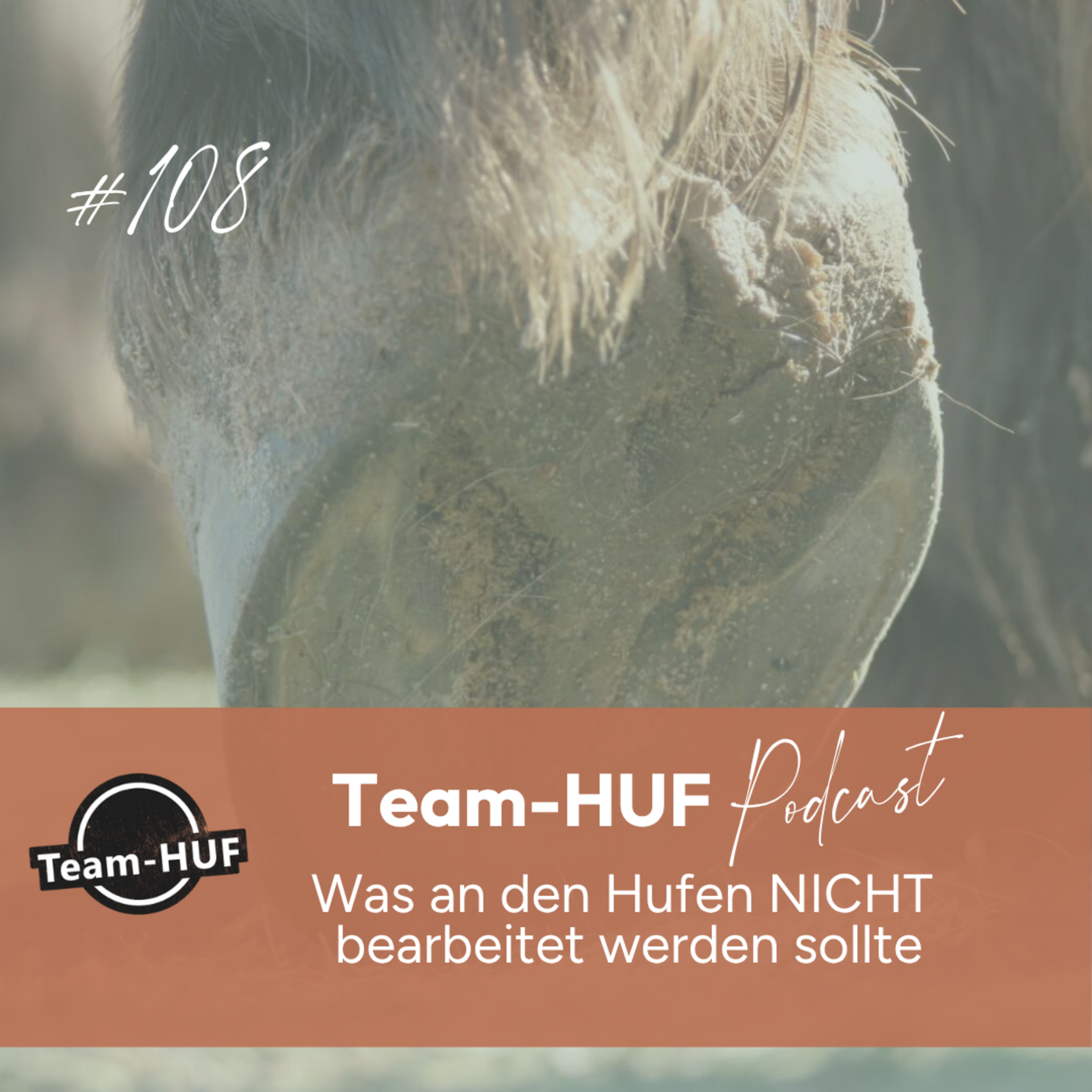 Team-HUF Podcast