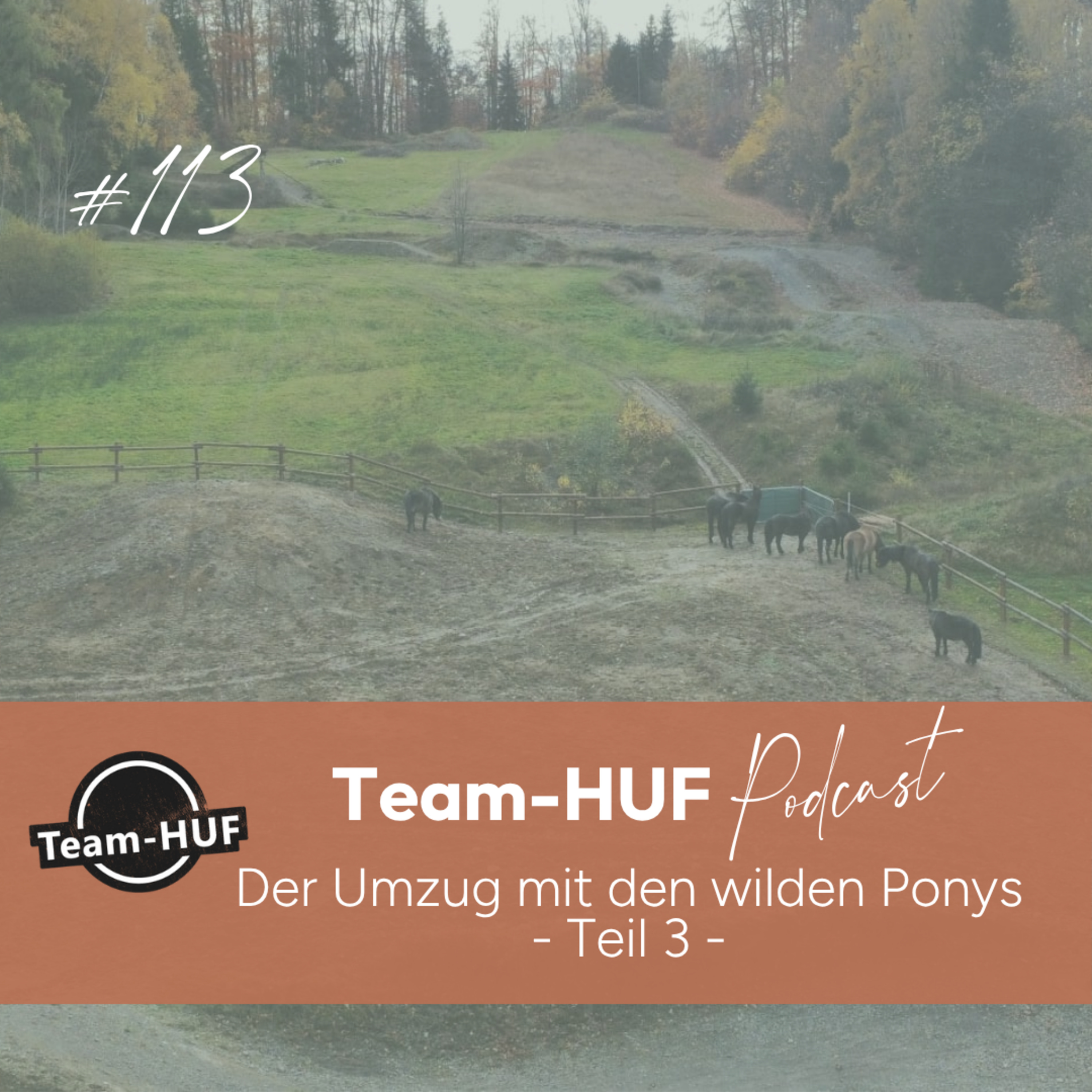 Team-HUF Podcast