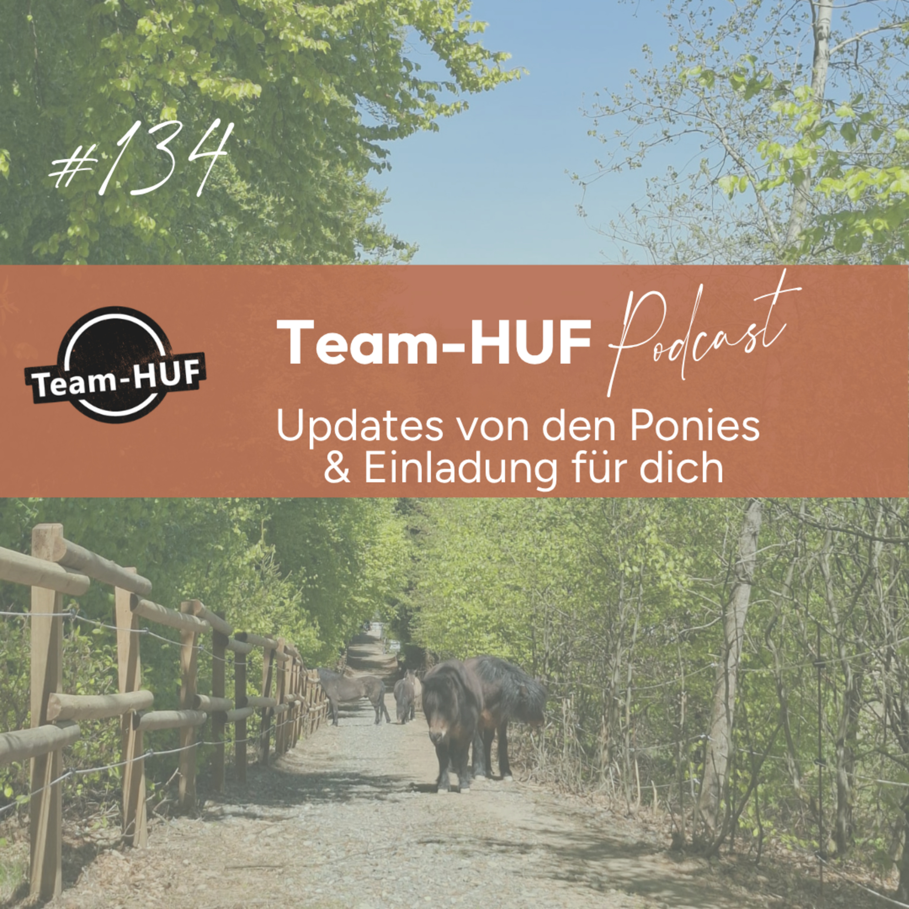 Folge 134: Umzugsupdates, Hufentwicklungen und Einladung für dich episode artwork