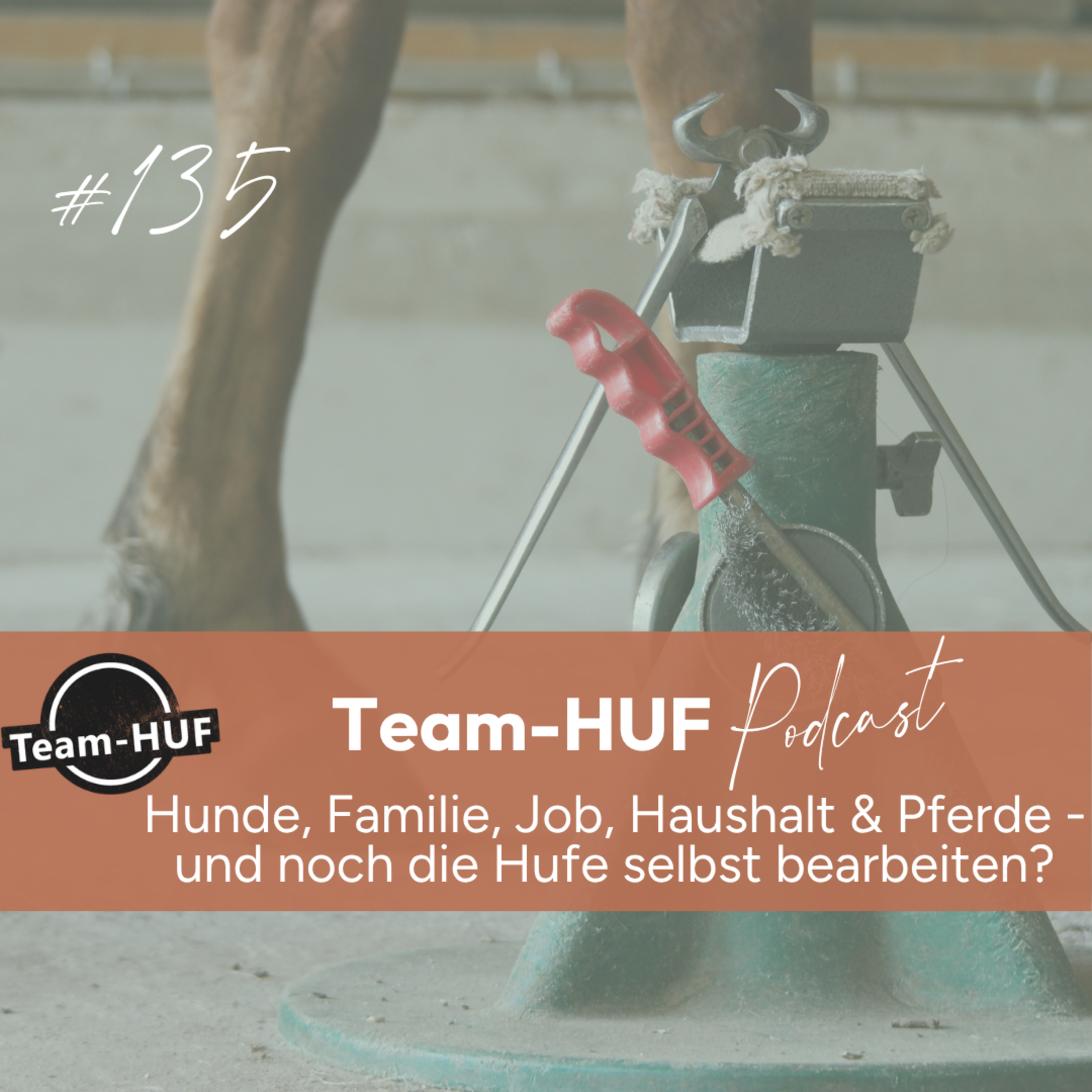 Folge 135: Neben Job, Kind und Kegel auch noch selbst Hufe bearbeiten: Geht das, Franziska? episode artwork
