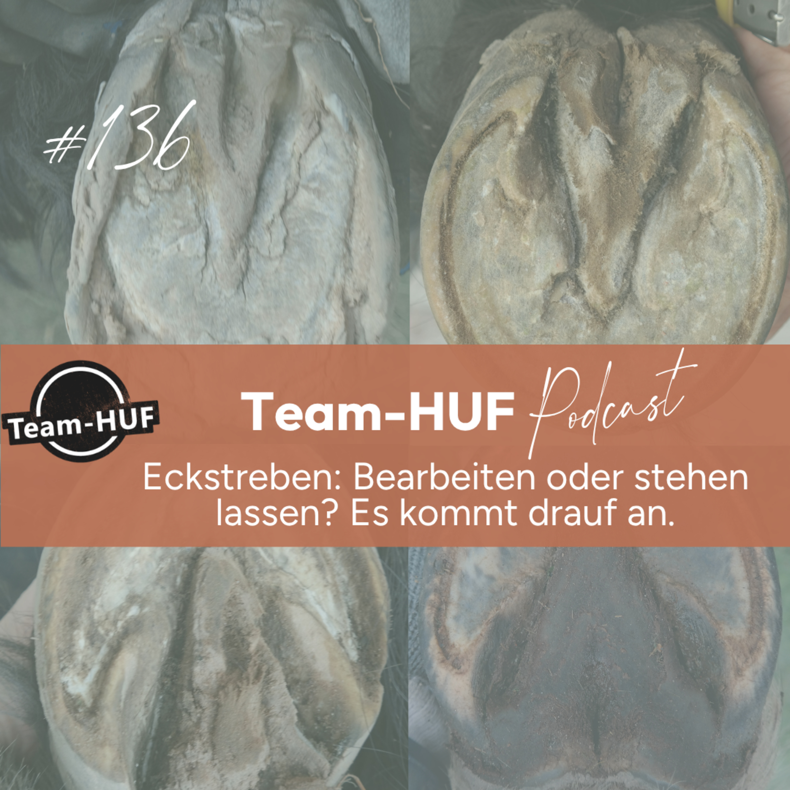 Folge 136: Eckstreben: Bearbeiten oder stehen lassen? episode artwork