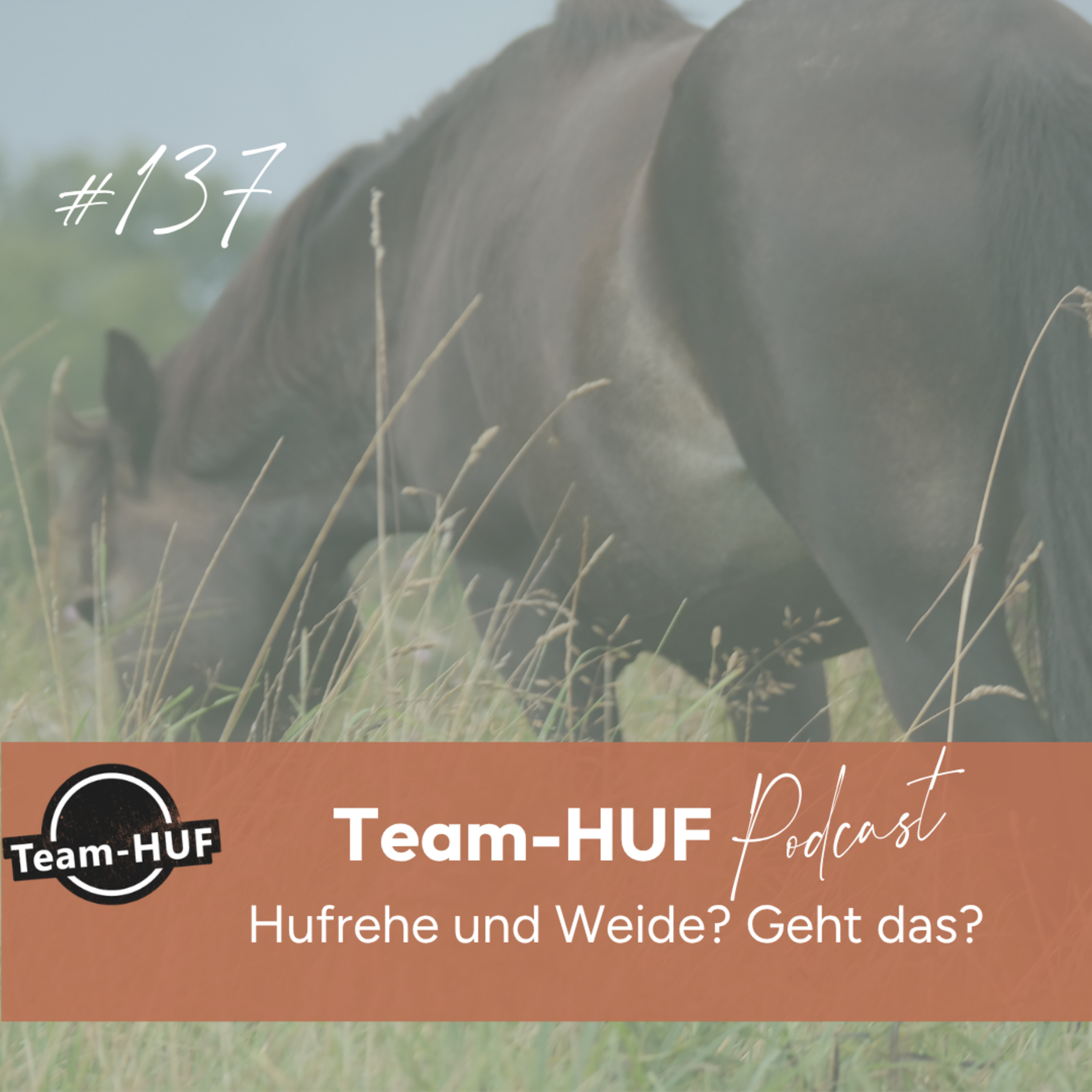 Folge 137: Hufrehe und Weide? episode artwork