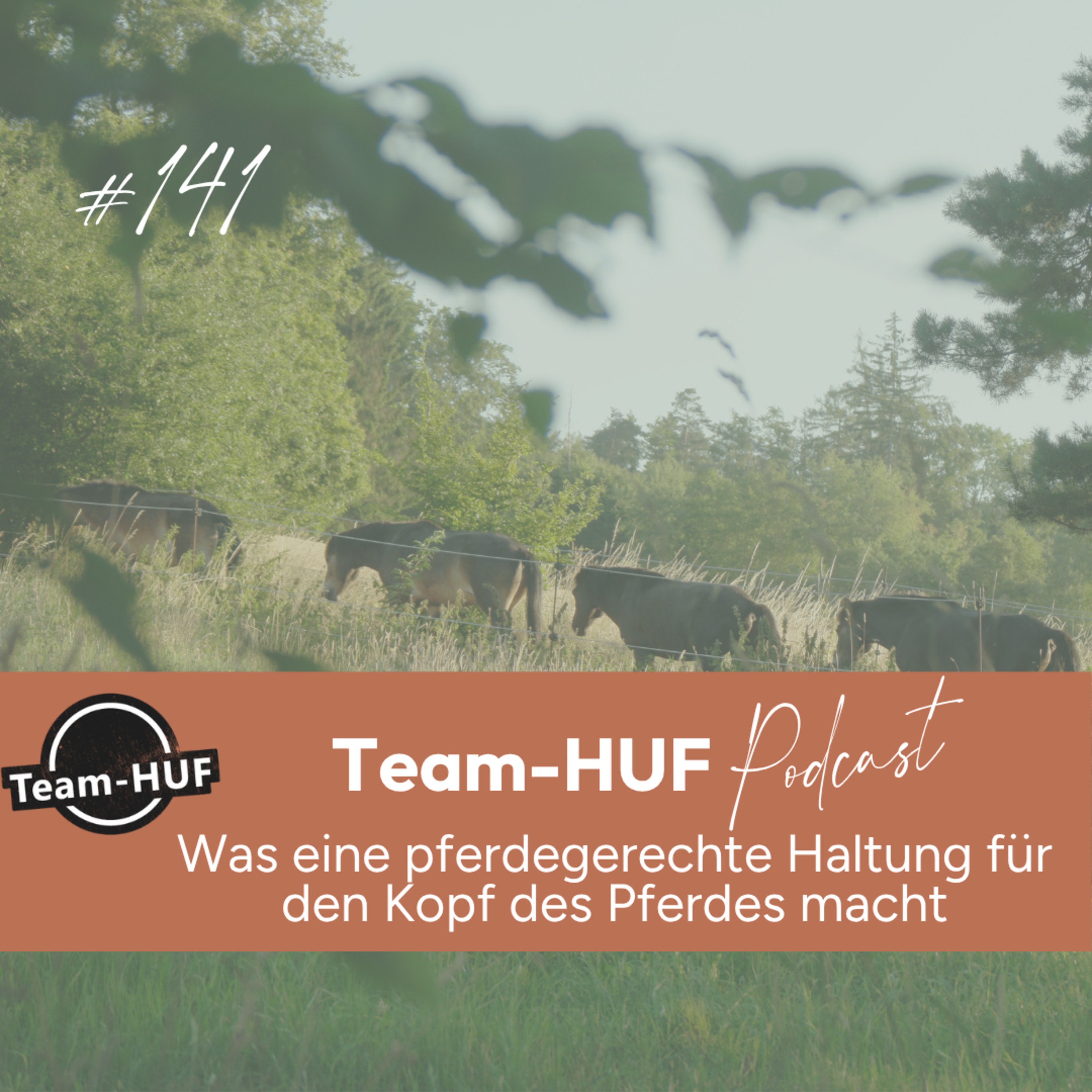 Folge 141: Wie Pferdehaltung den Kopf des Pferdes und das Sicherheitsgefühl beeinflusst. episode artwork