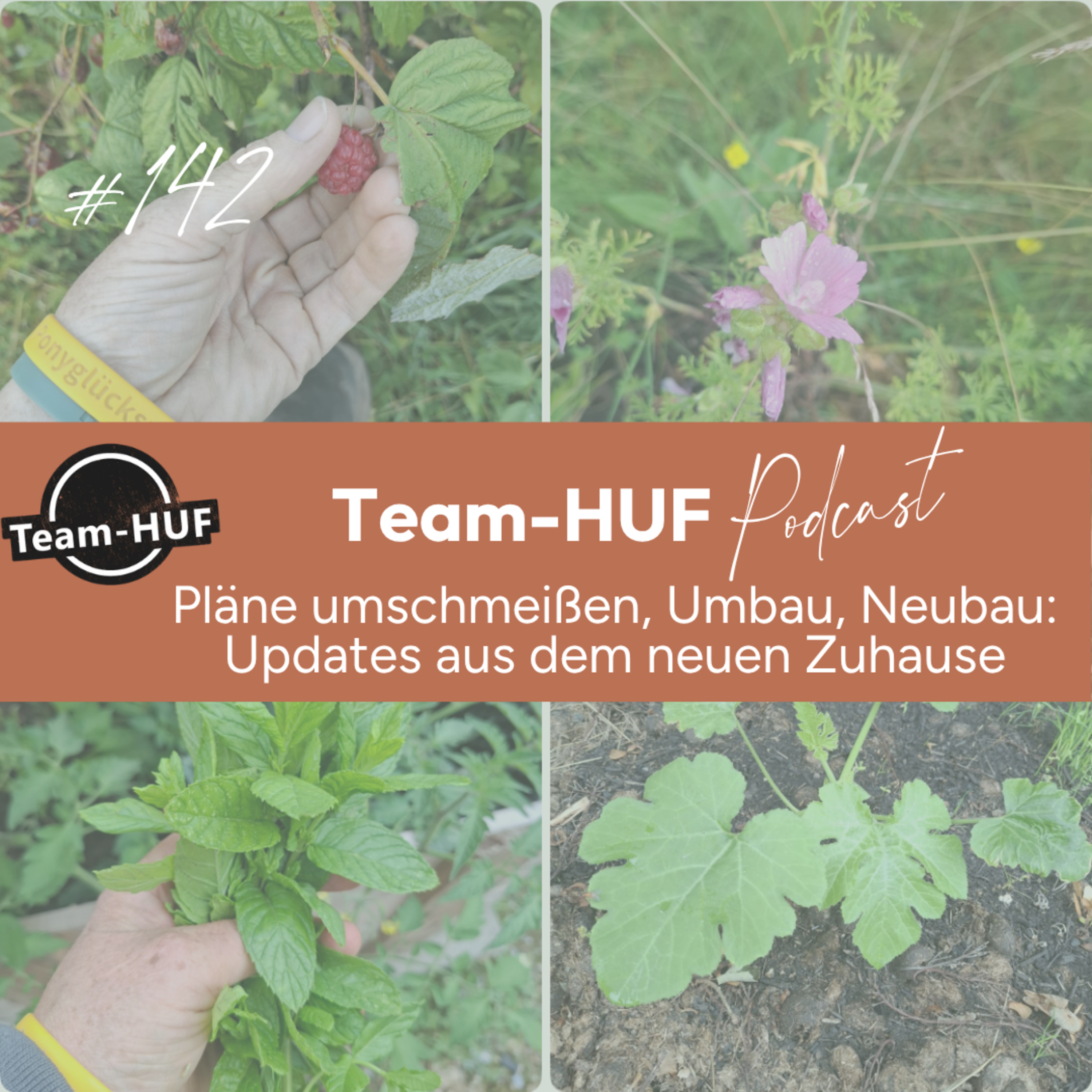 Folge 142: Planst du dein Ponyparadies? Unsere neusten Learnings und Pläne episode artwork