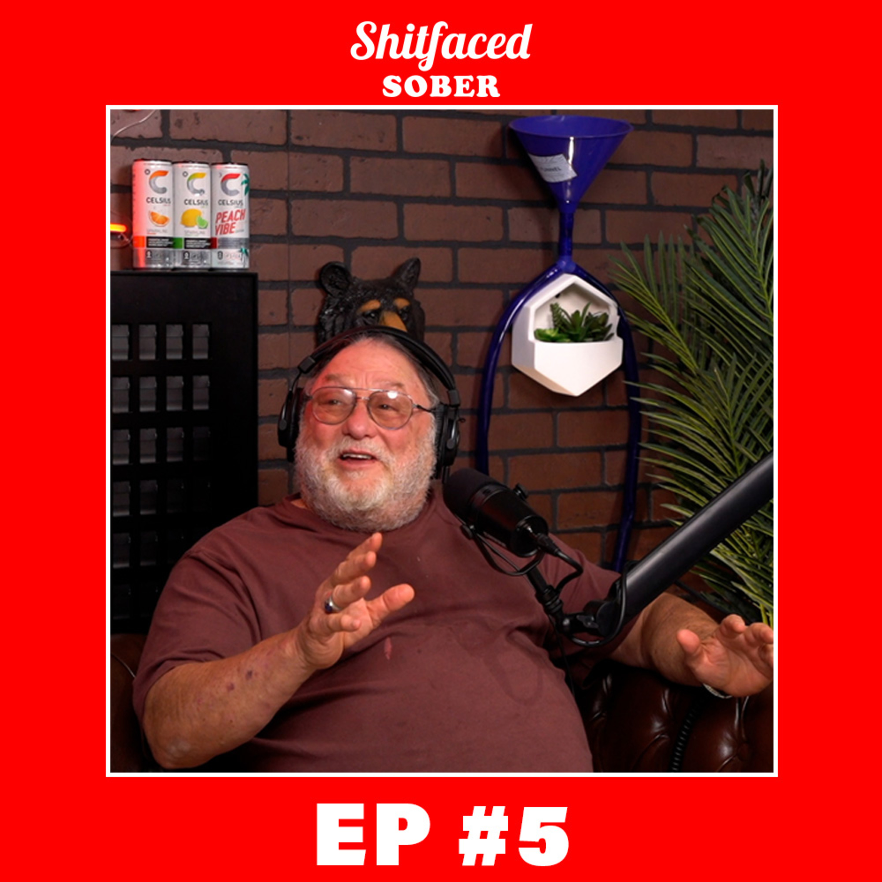 Shitfaced Sober