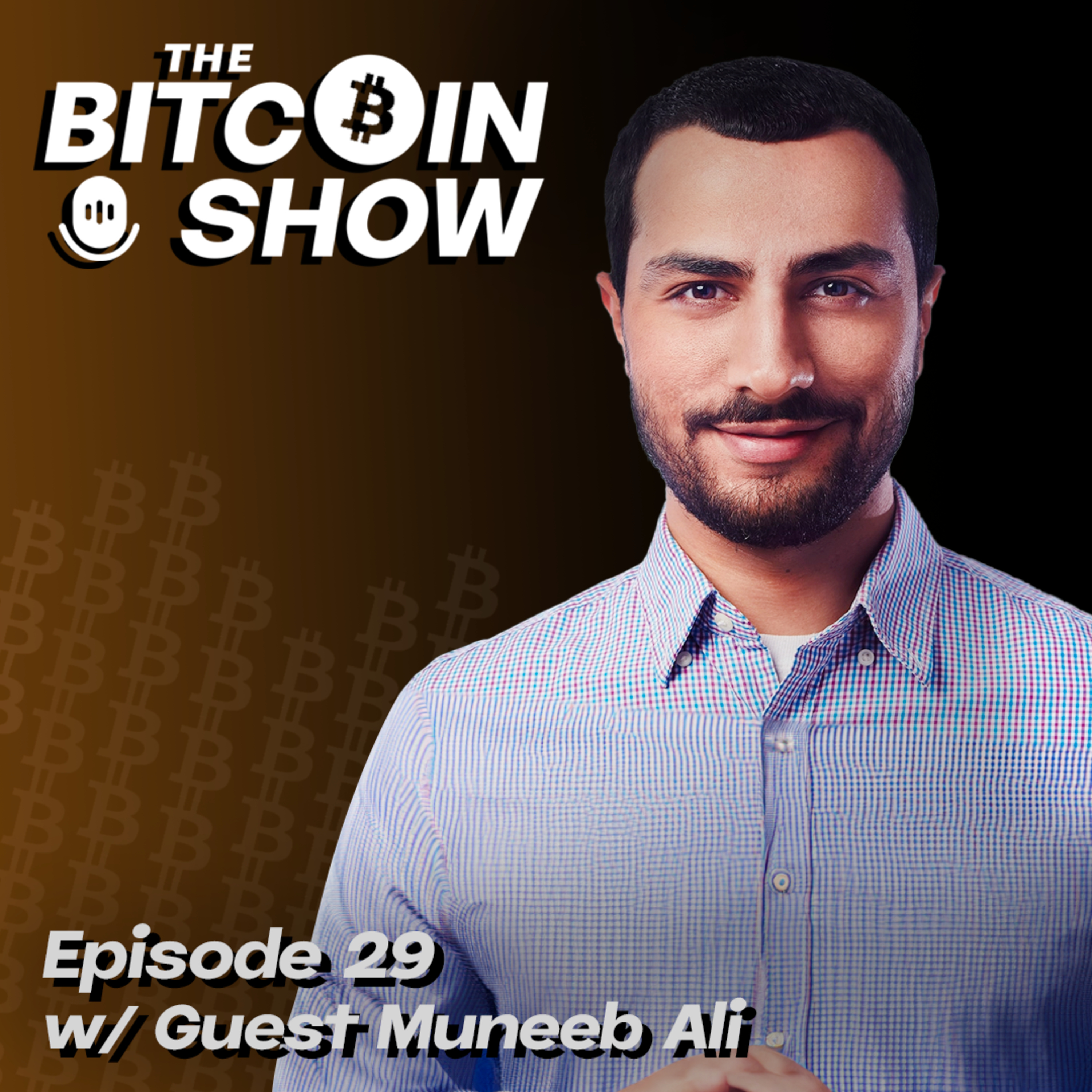 The Bitcoin Show
