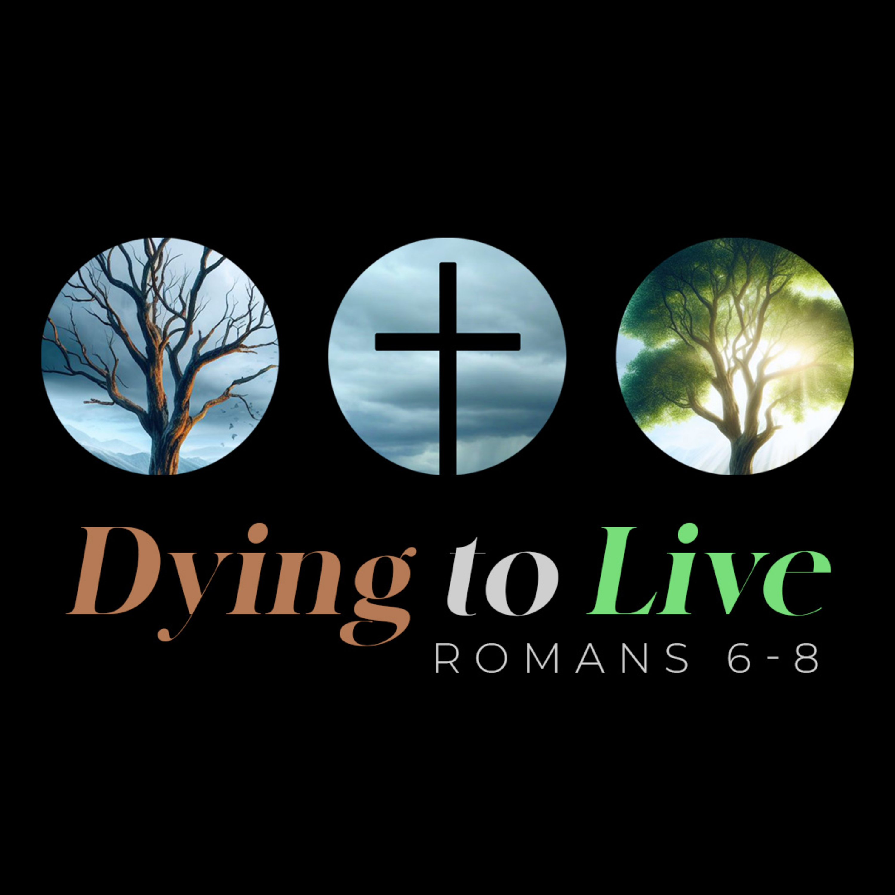 Loudonville Community Church