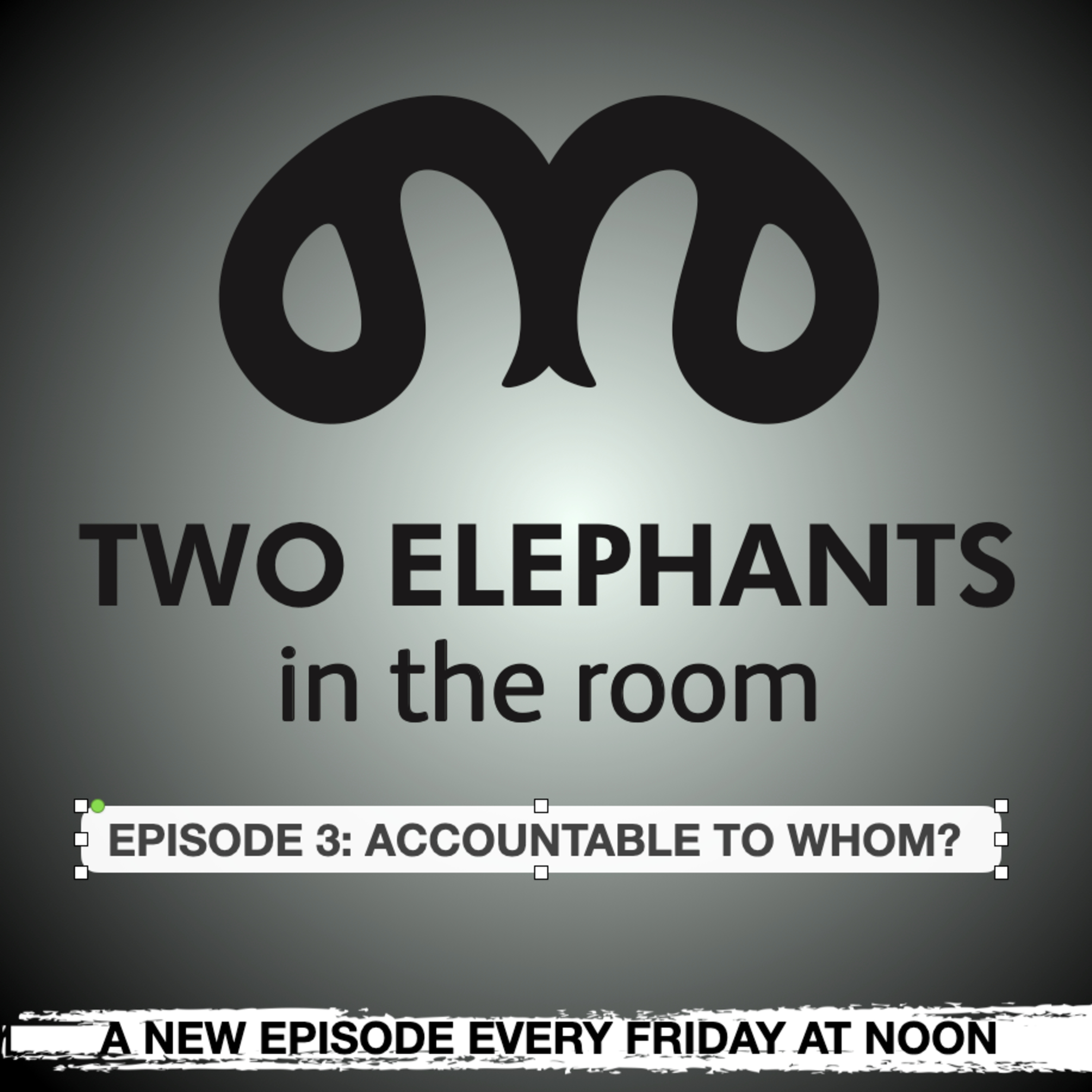 Two Elephants in the Room