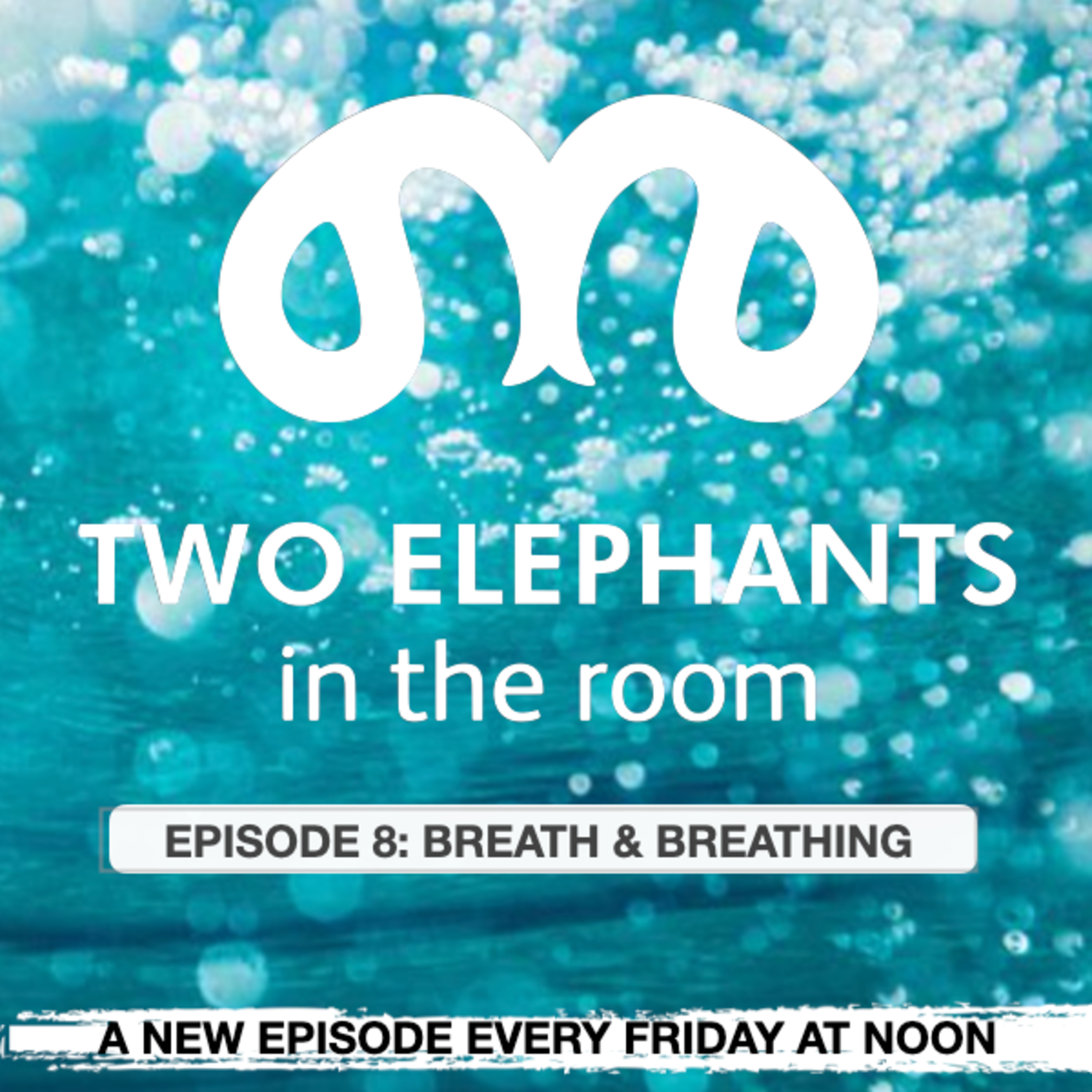Two Elephants in the Room