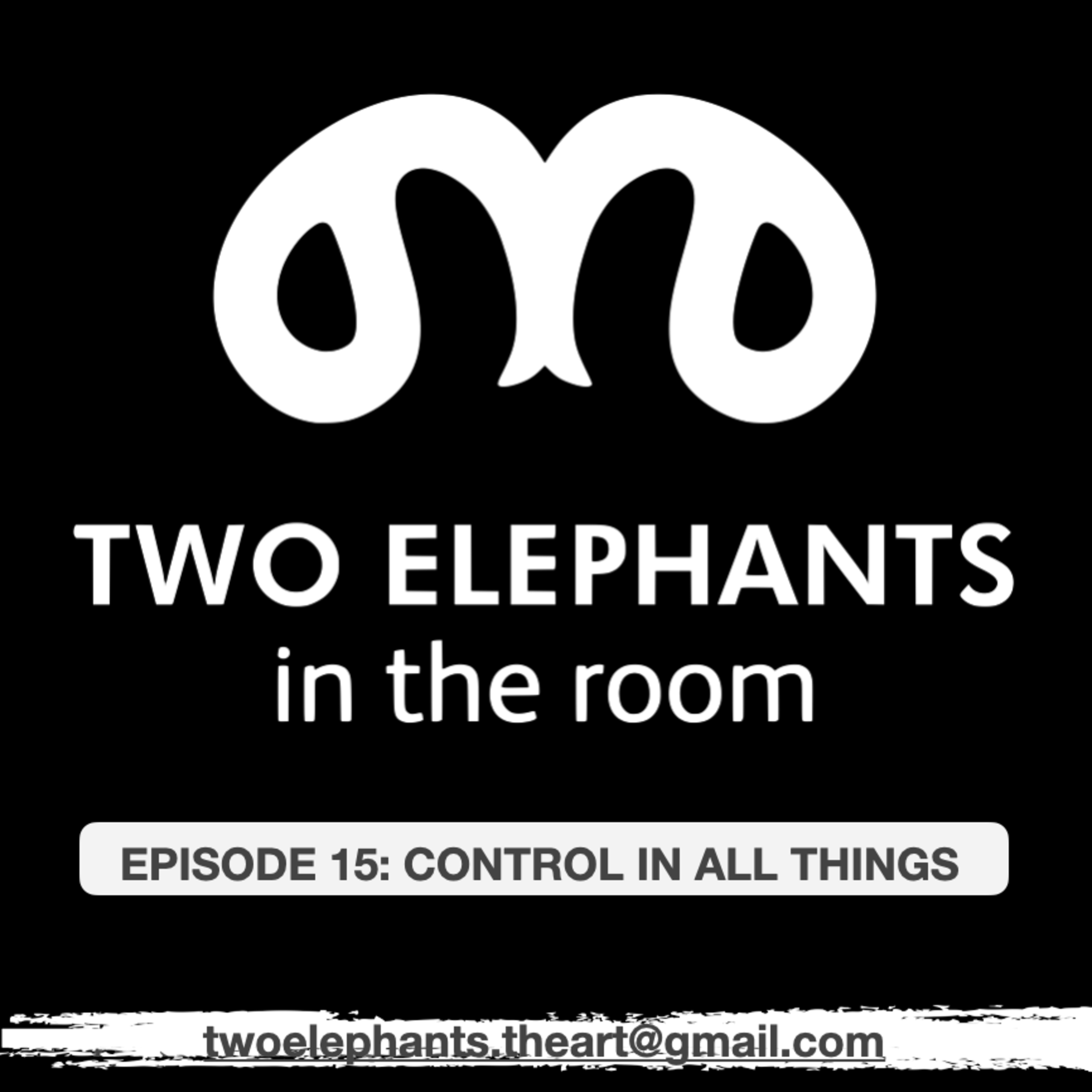 Two Elephants in the Room
