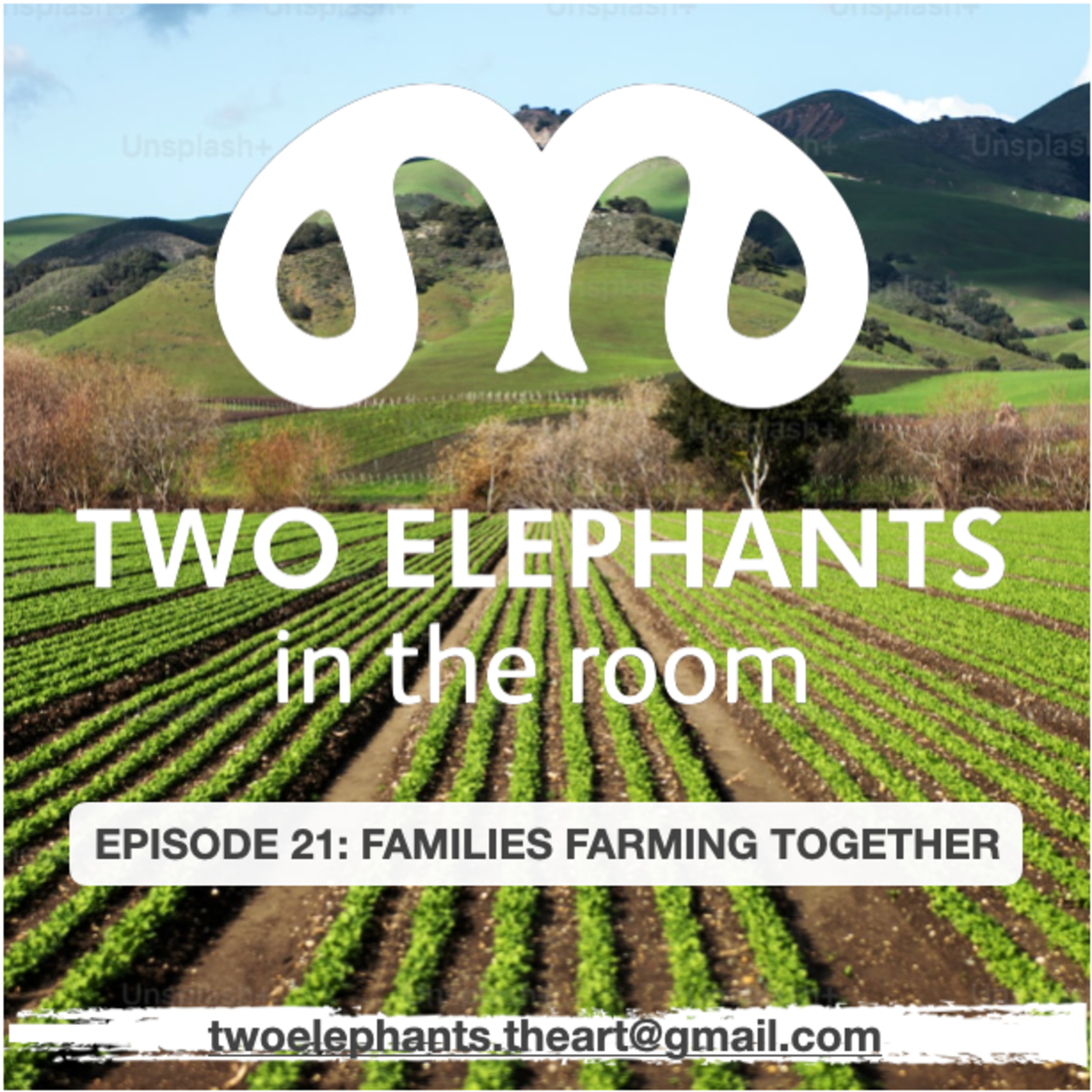 Two Elephants in the Room