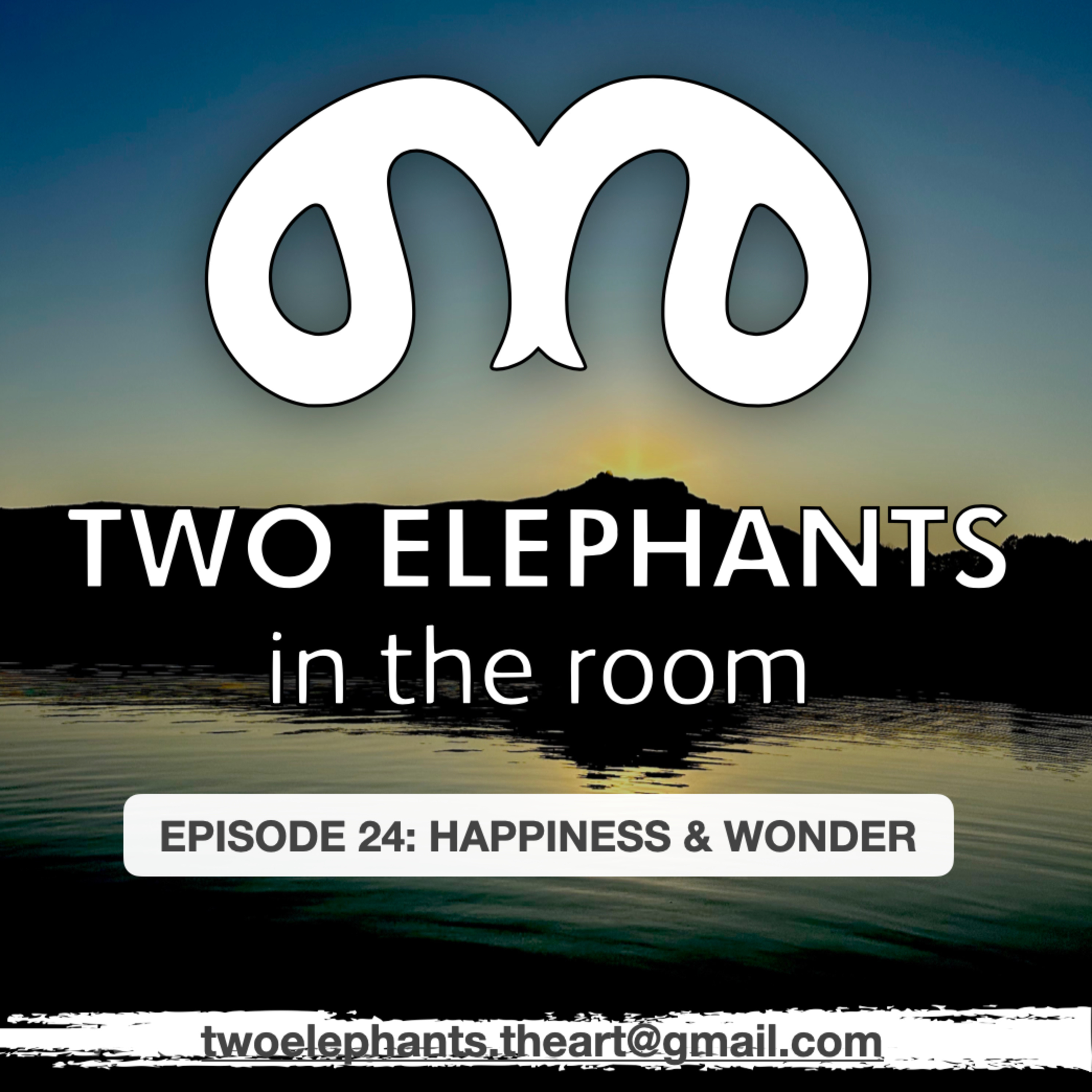Two Elephants in the Room
