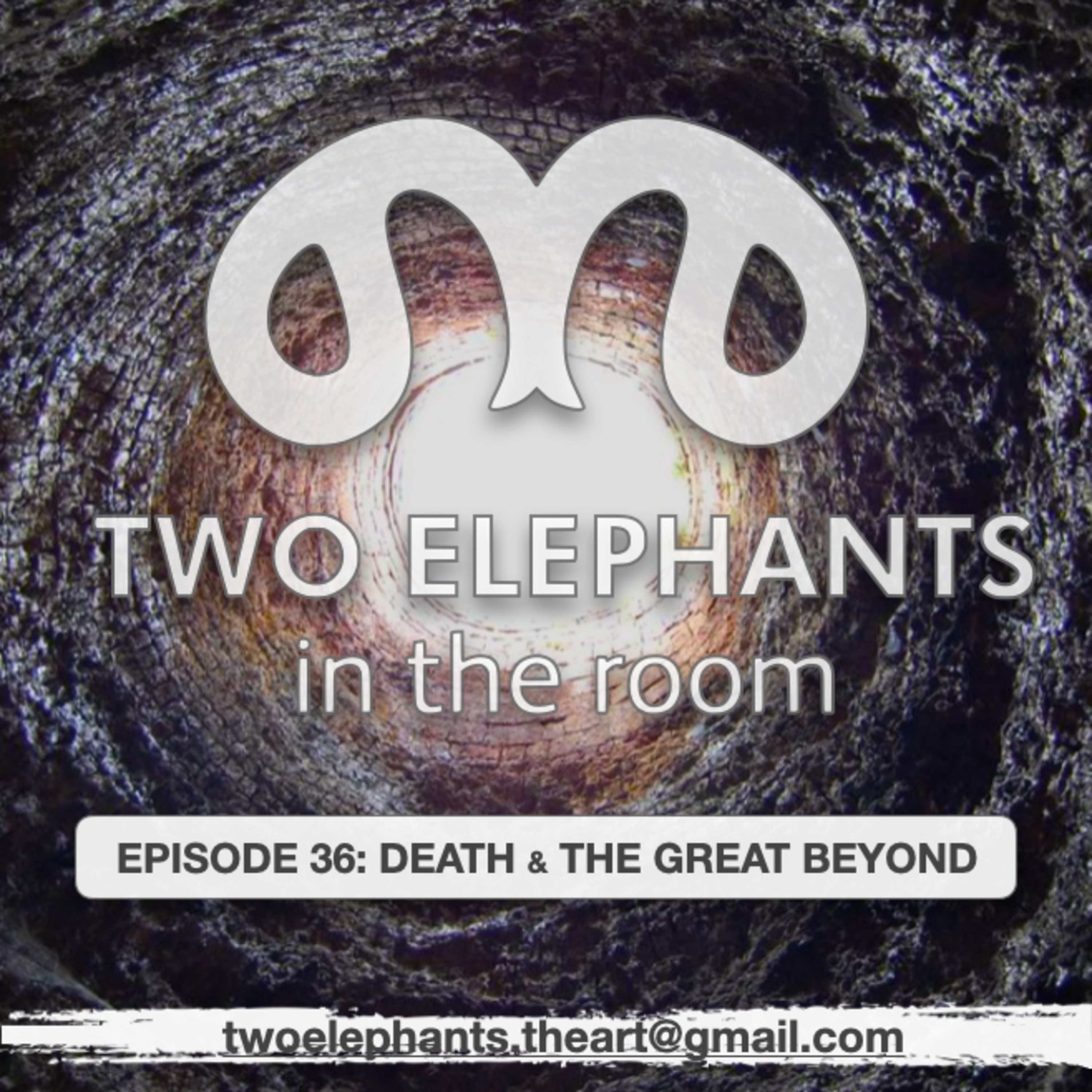 Two Elephants in the Room
