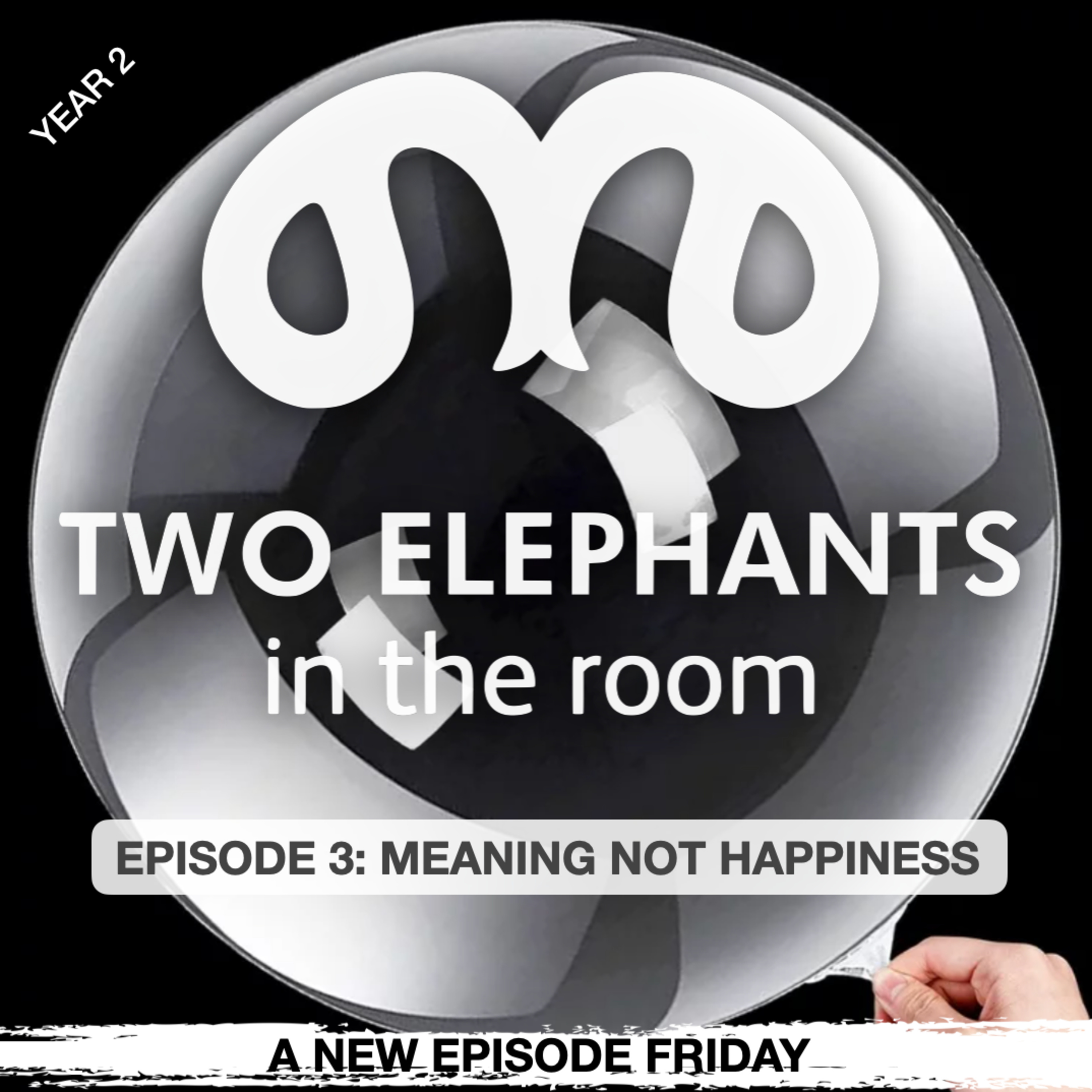 Two Elephants in the Room