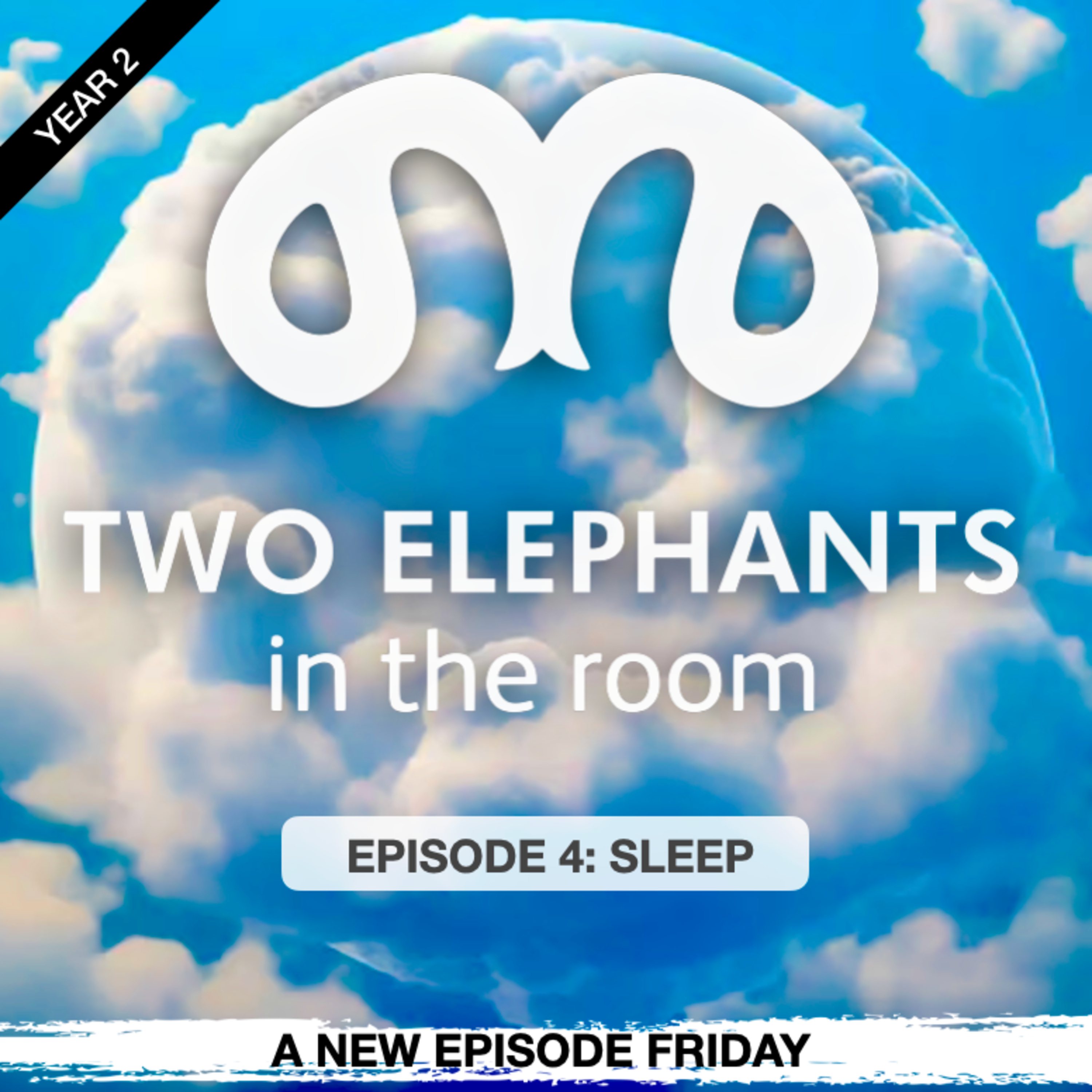 Two Elephants in the Room