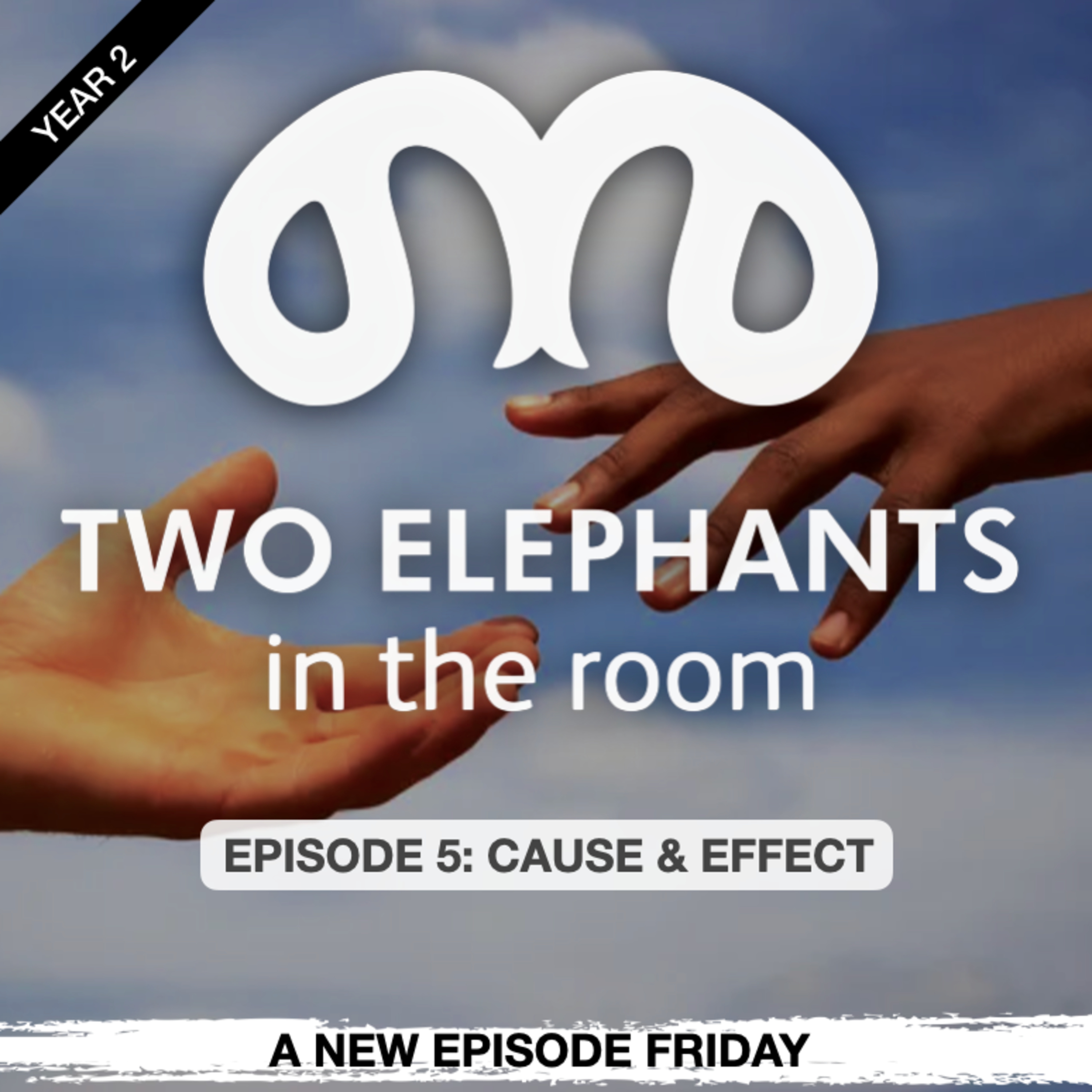 Two Elephants in the Room