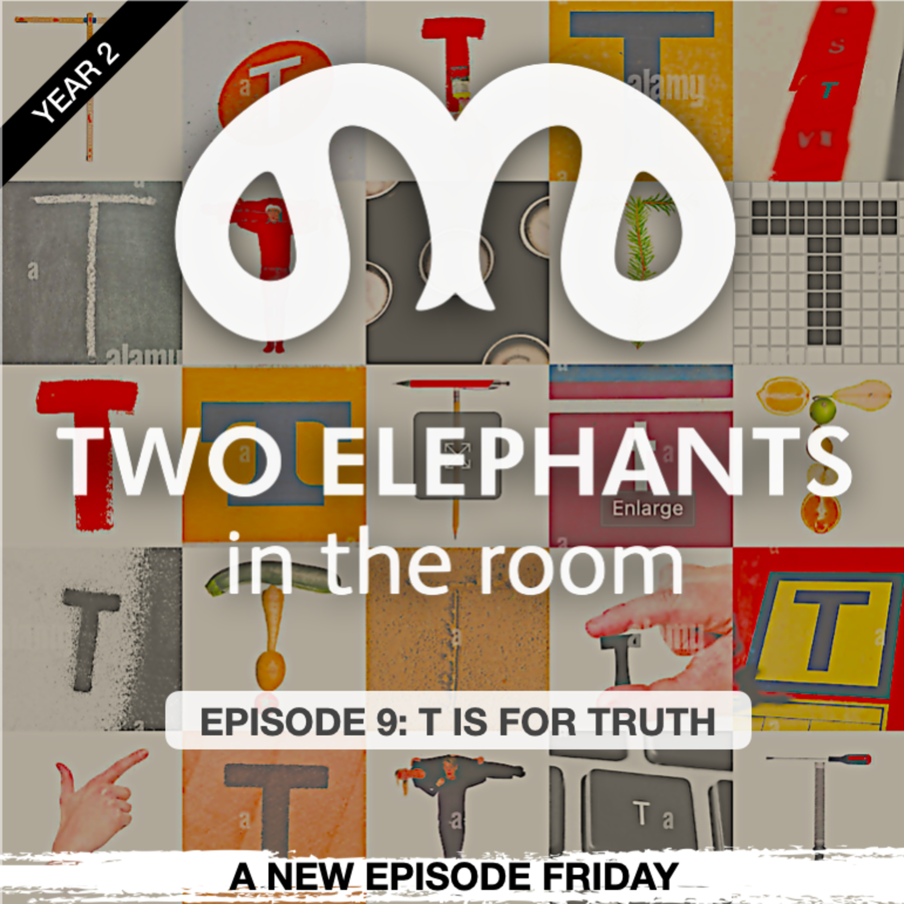 Two Elephants in the Room