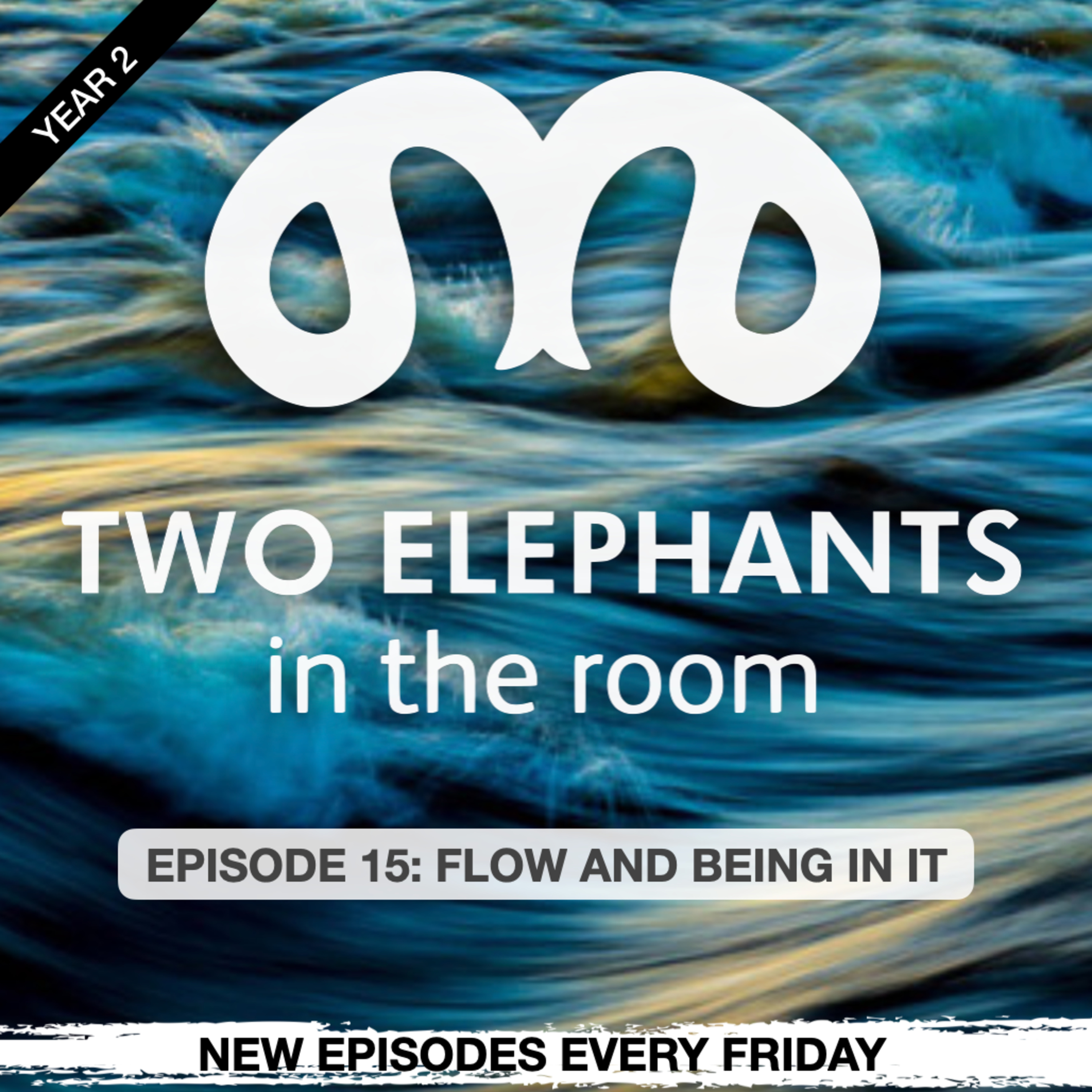 Two Elephants in the Room