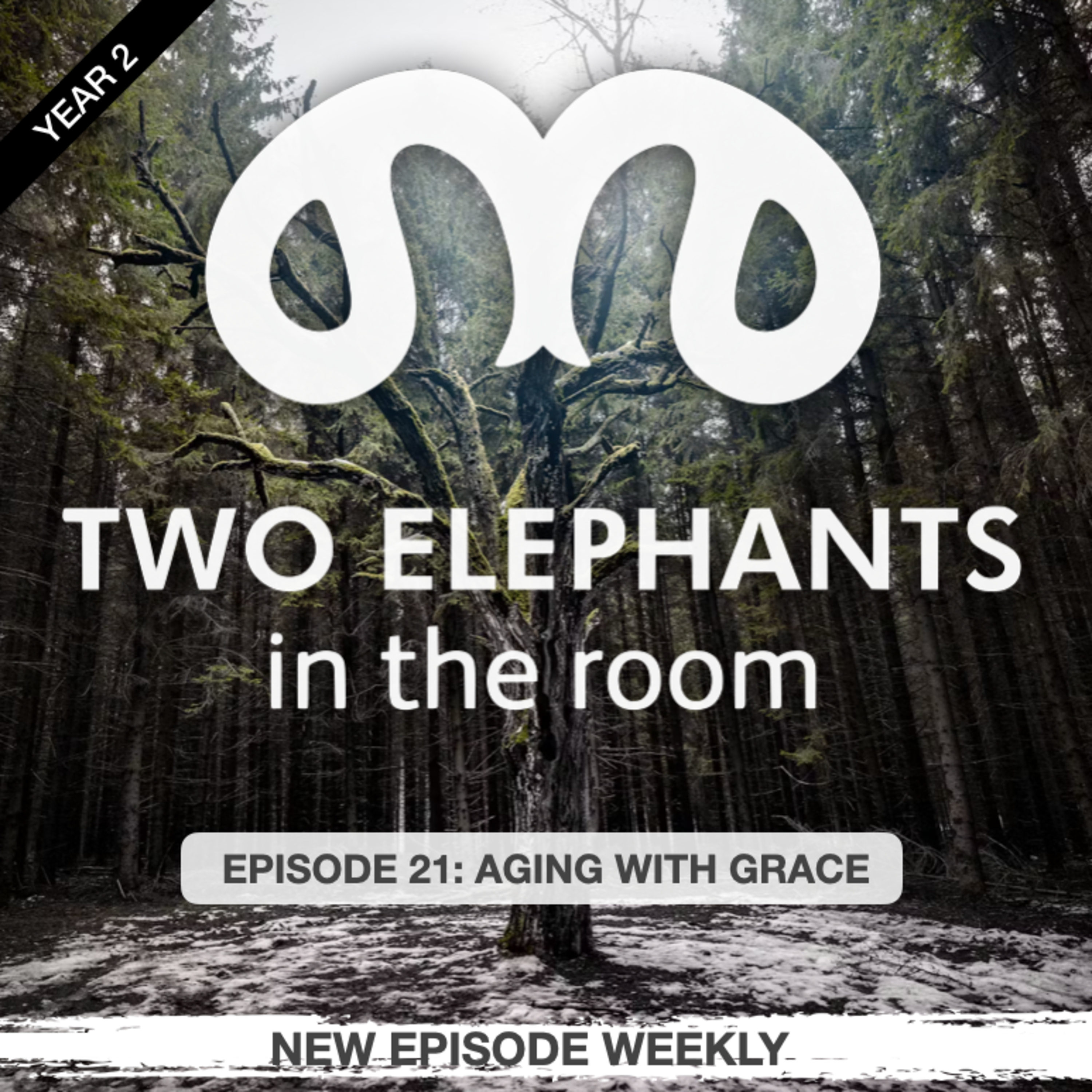 Two Elephants in the Room