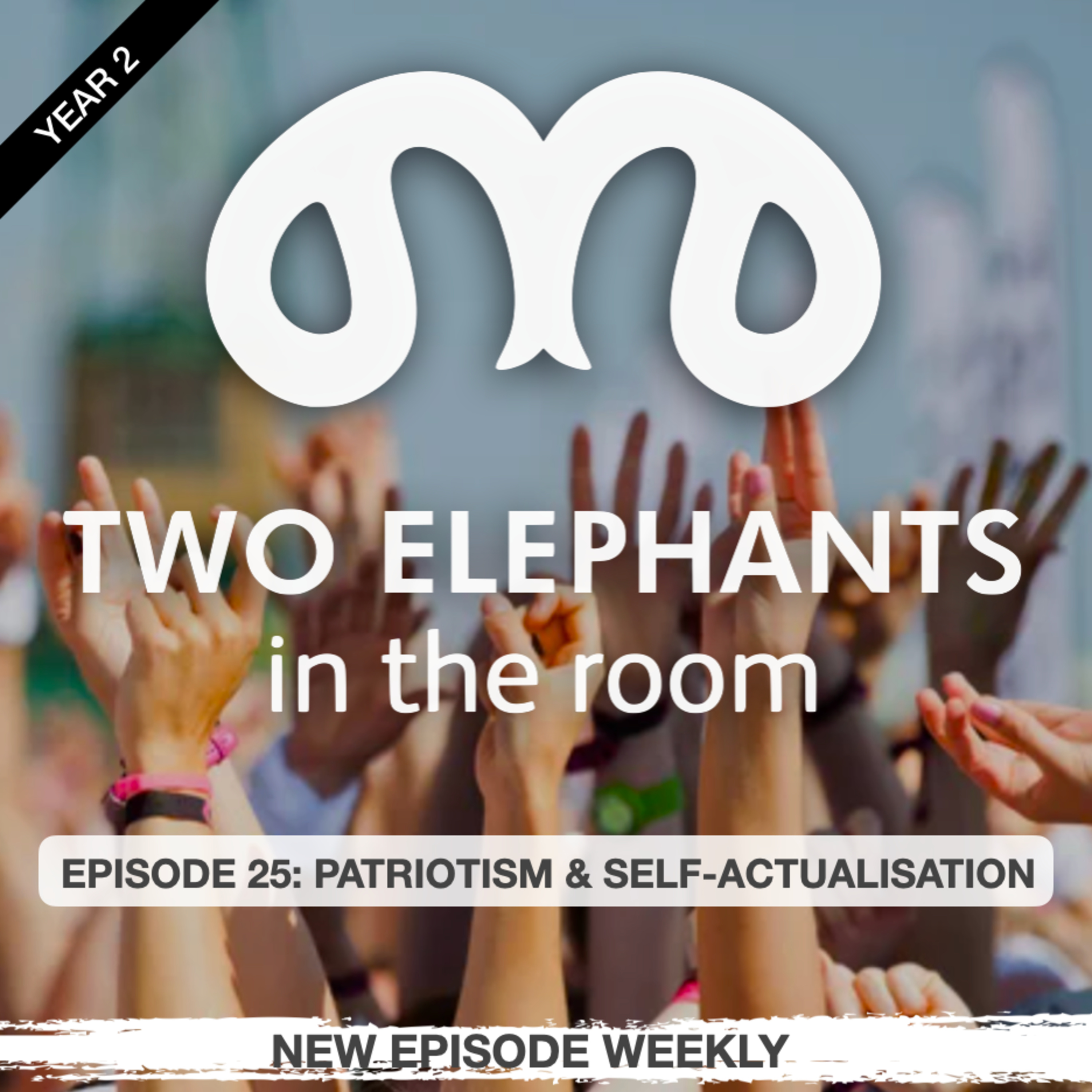 Two Elephants in the Room