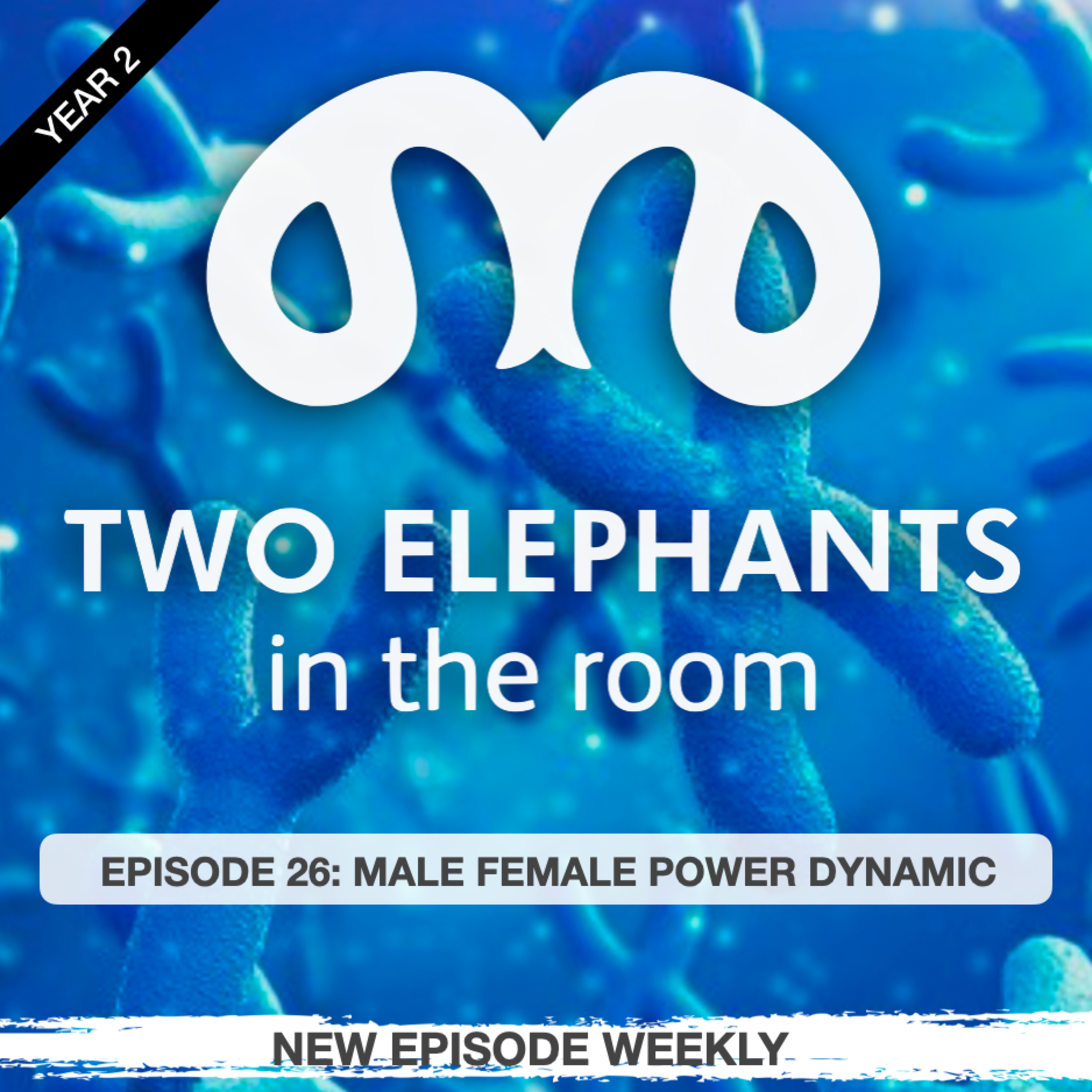 Two Elephants in the Room