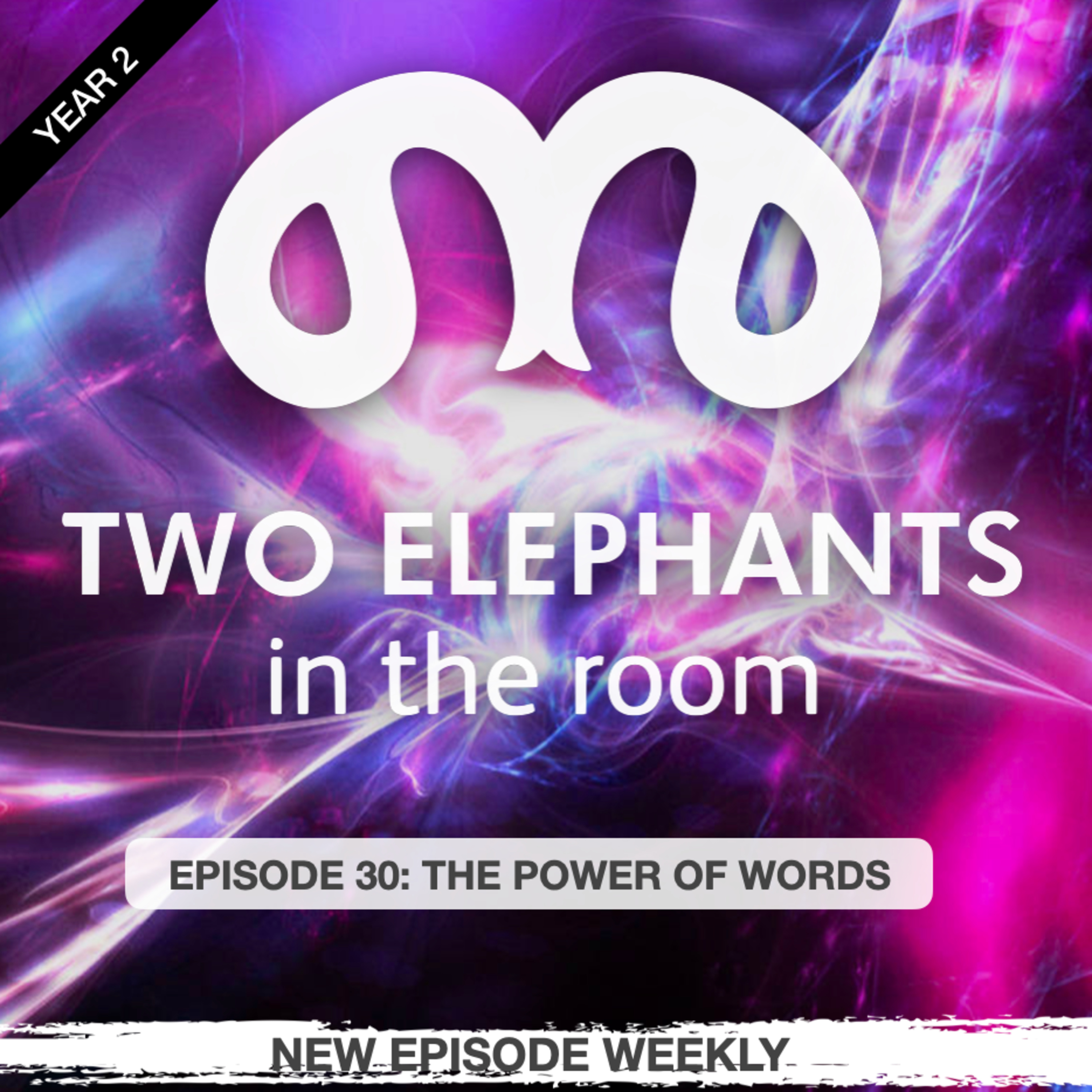 Two Elephants in the Room
