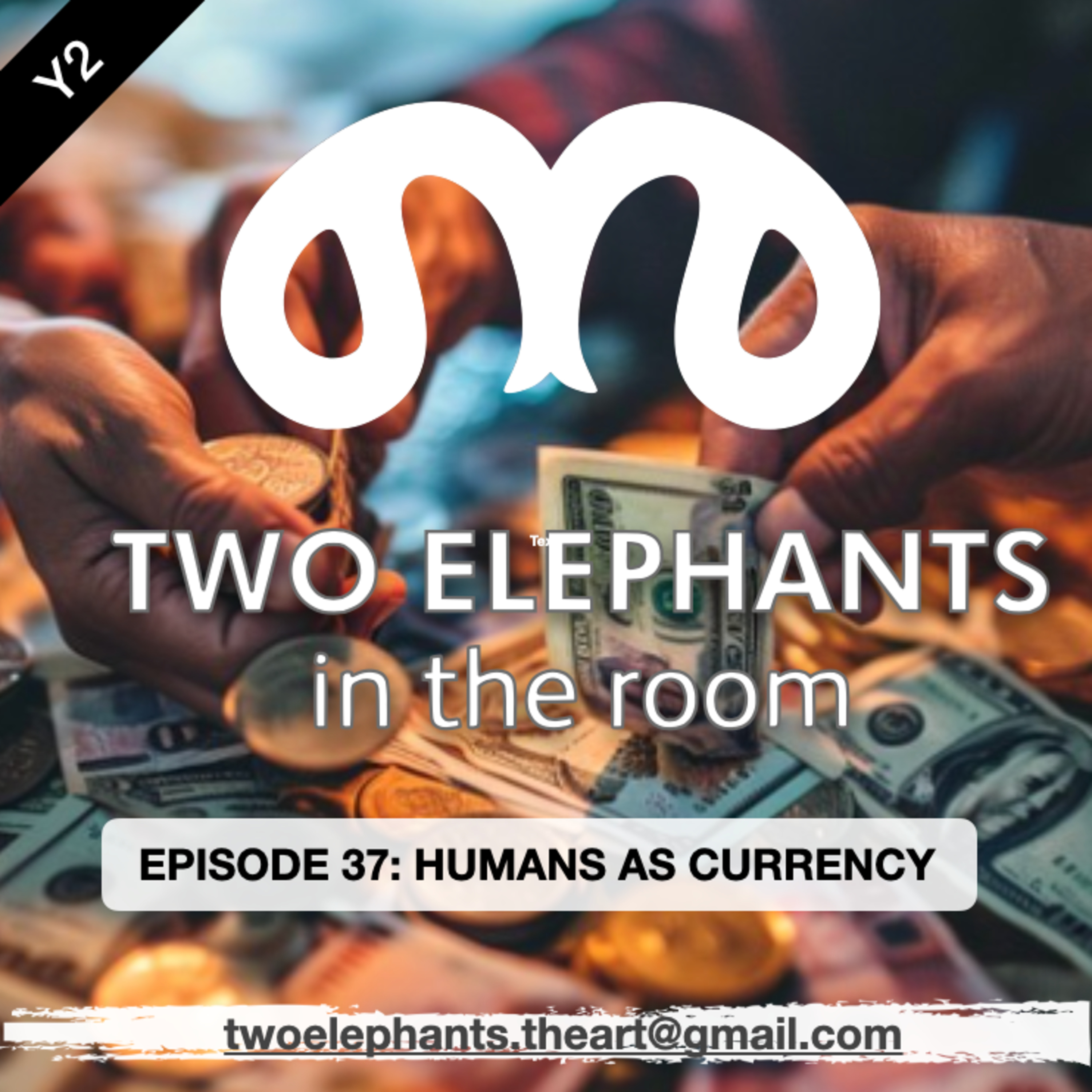 Two Elephants in the Room