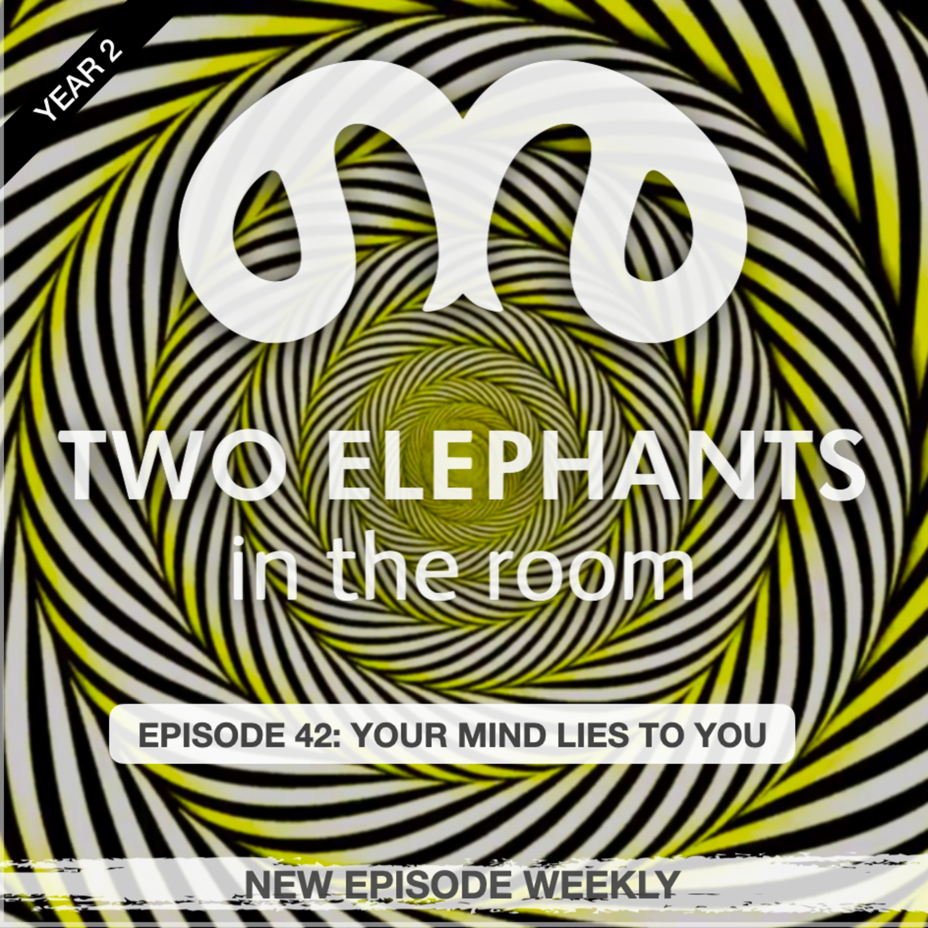 Two Elephants in the Room