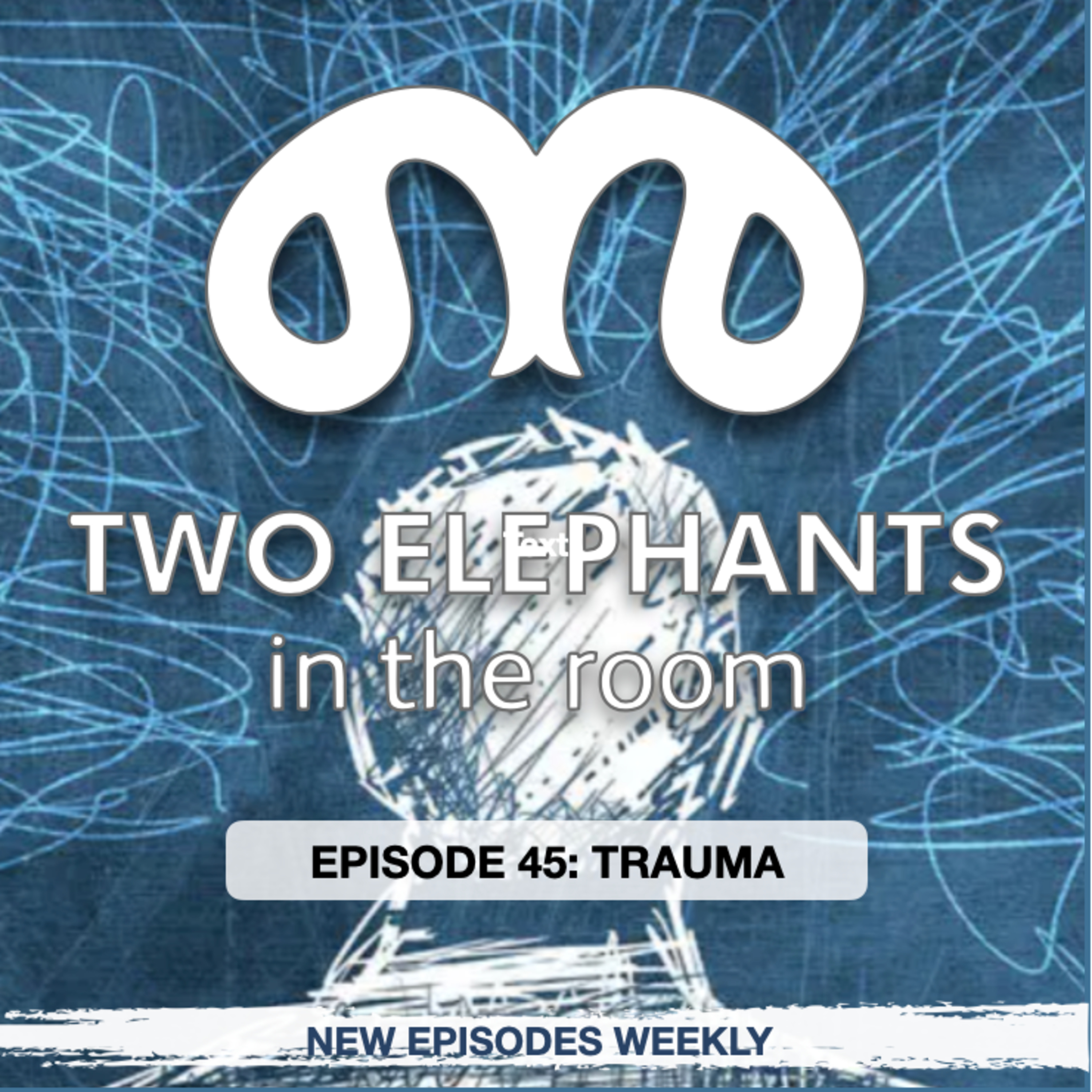 Two Elephants in the Room