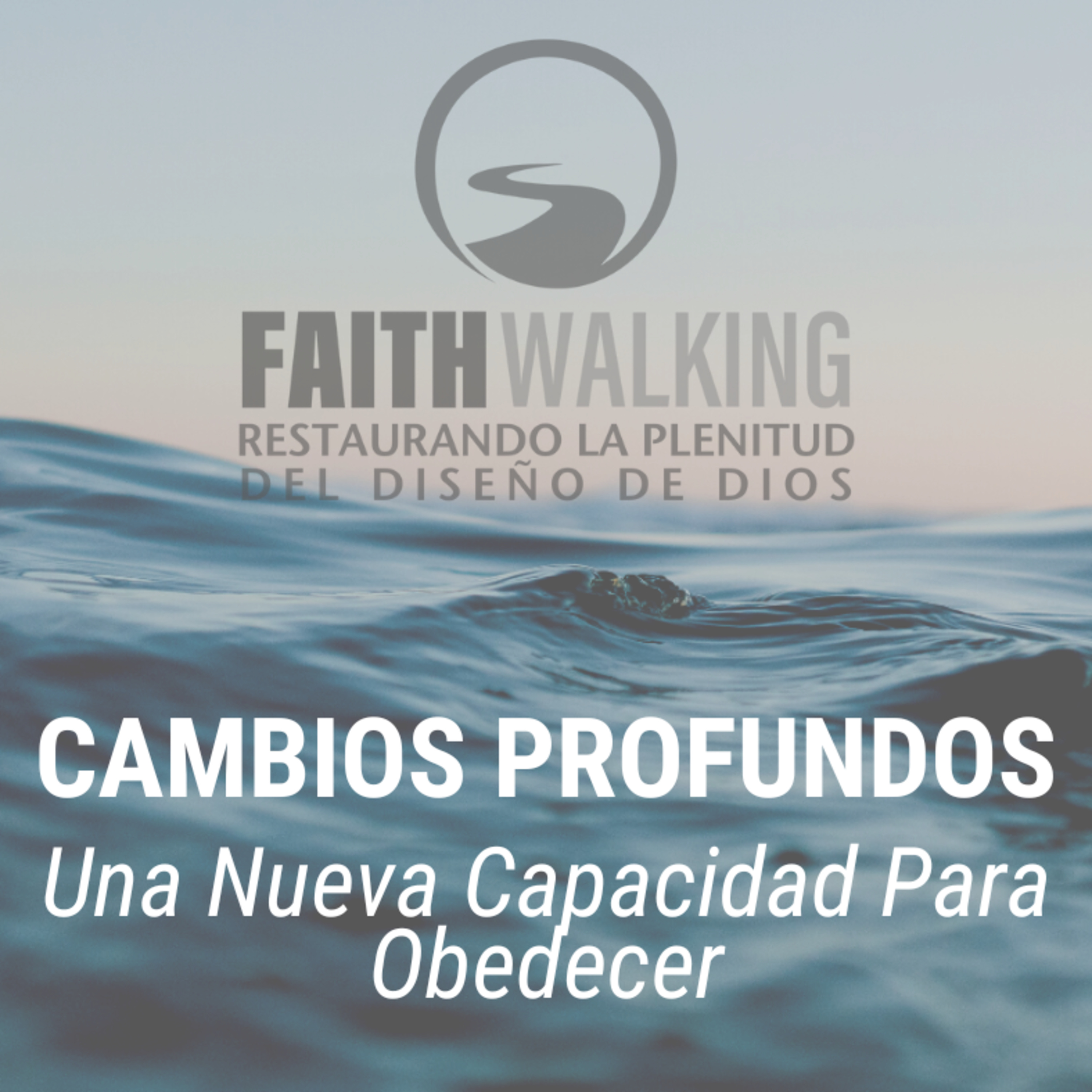 Portada de Faithwalking Español