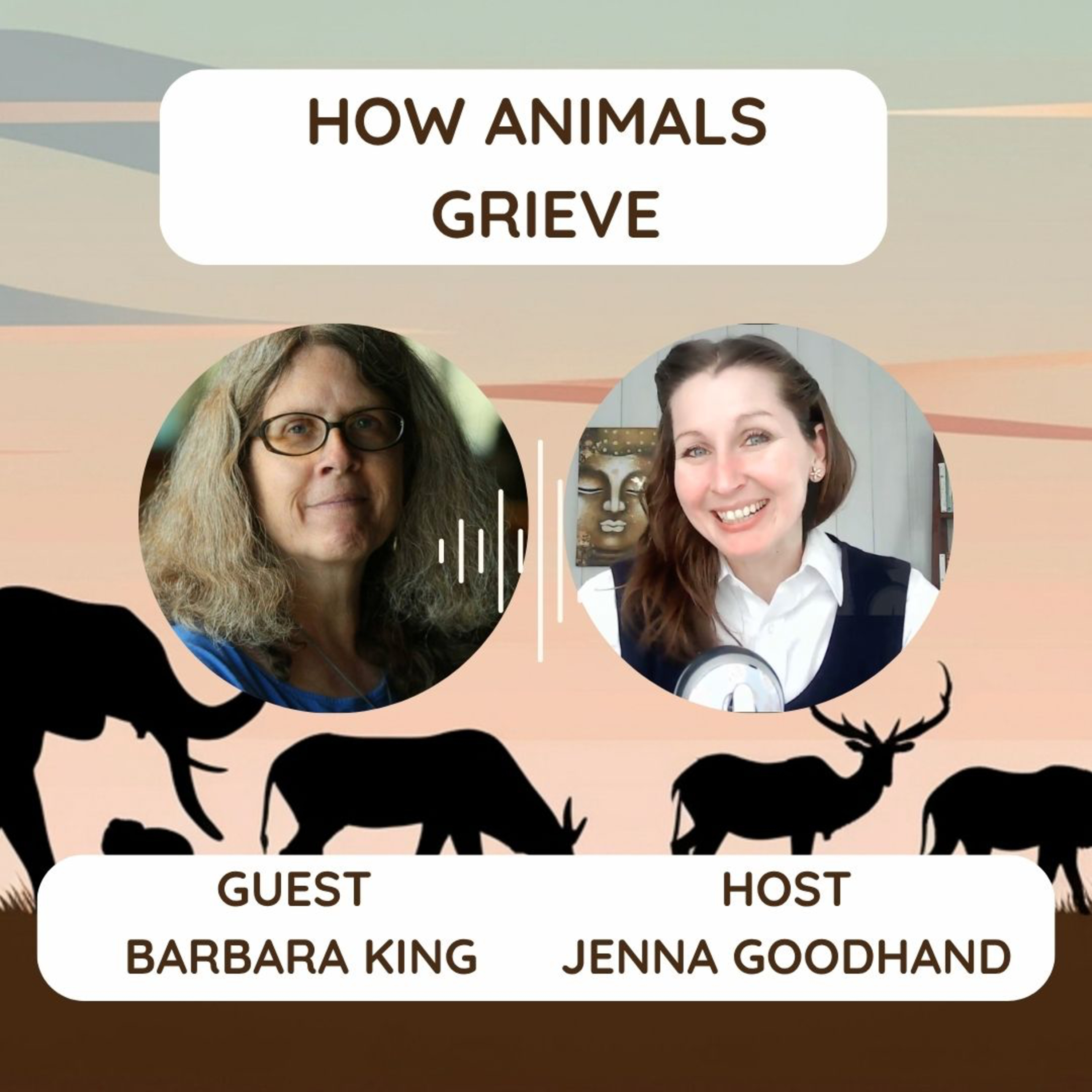 How Animals Grieve With Barbara King episode artwork