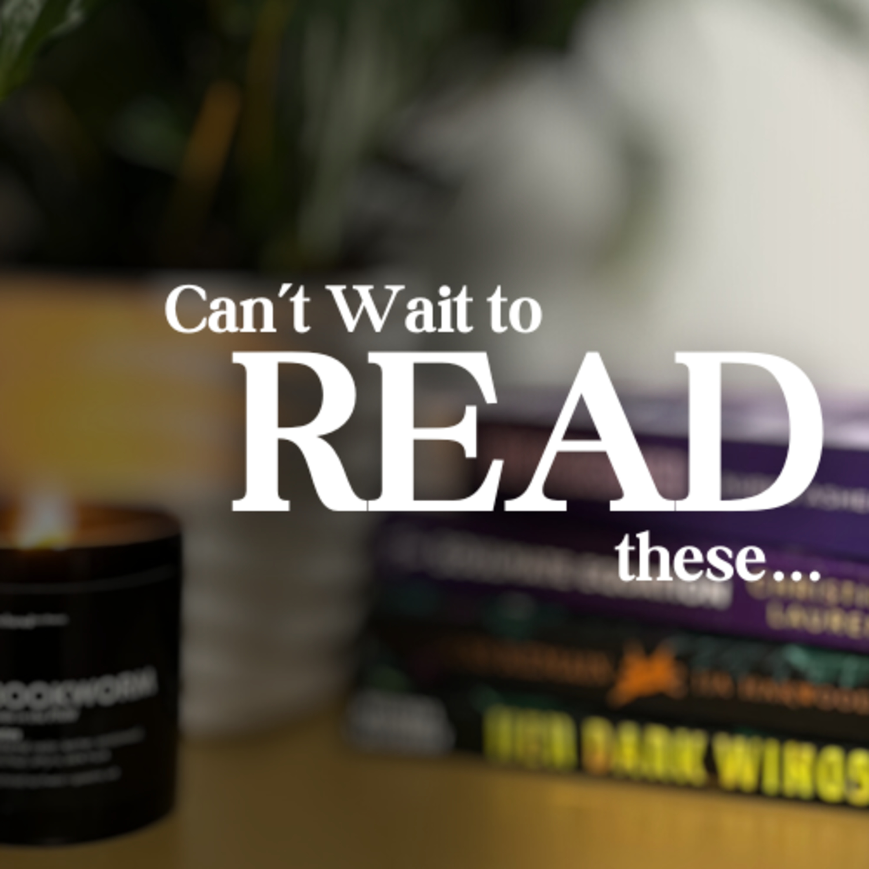 Unbound Book Babes
