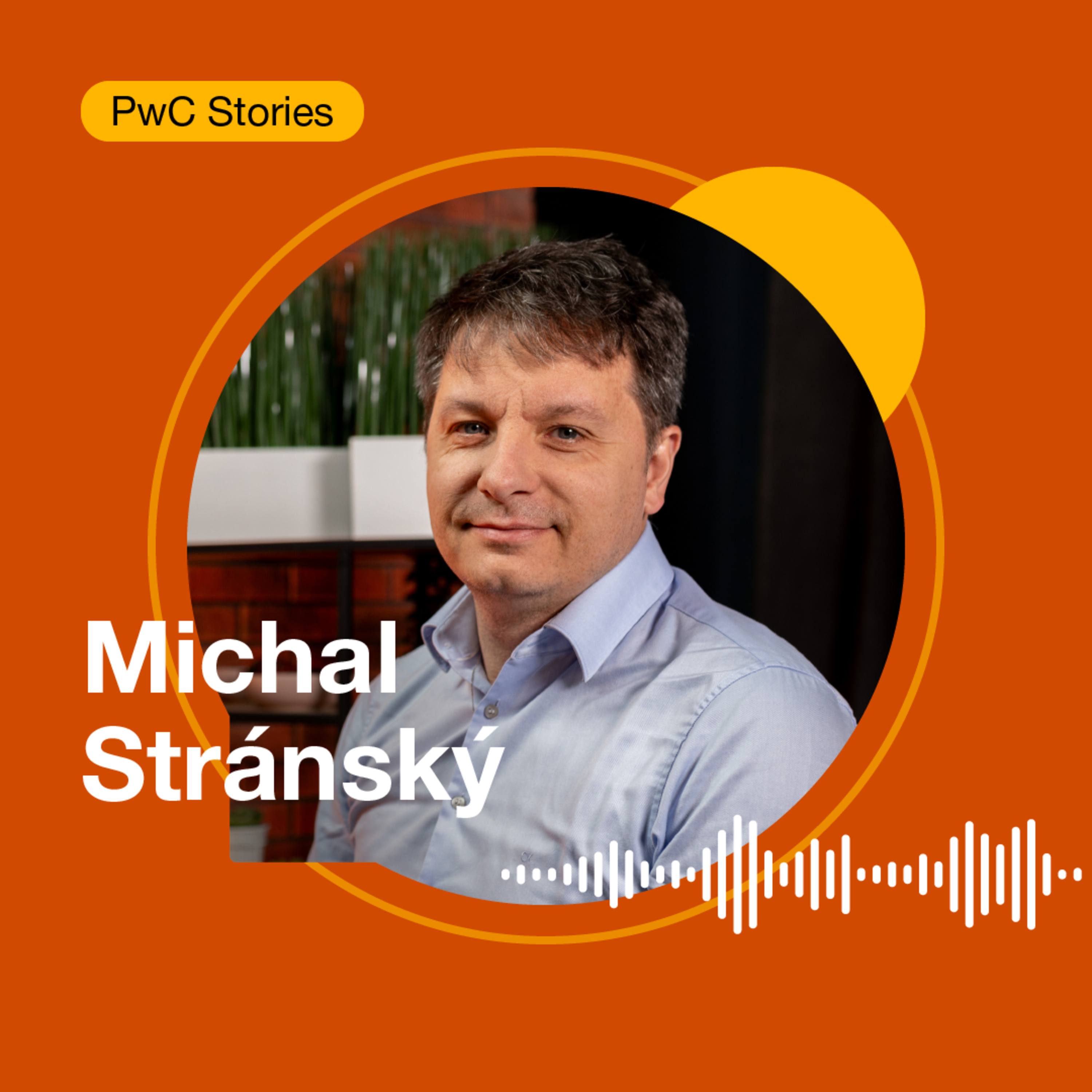 PwC stories