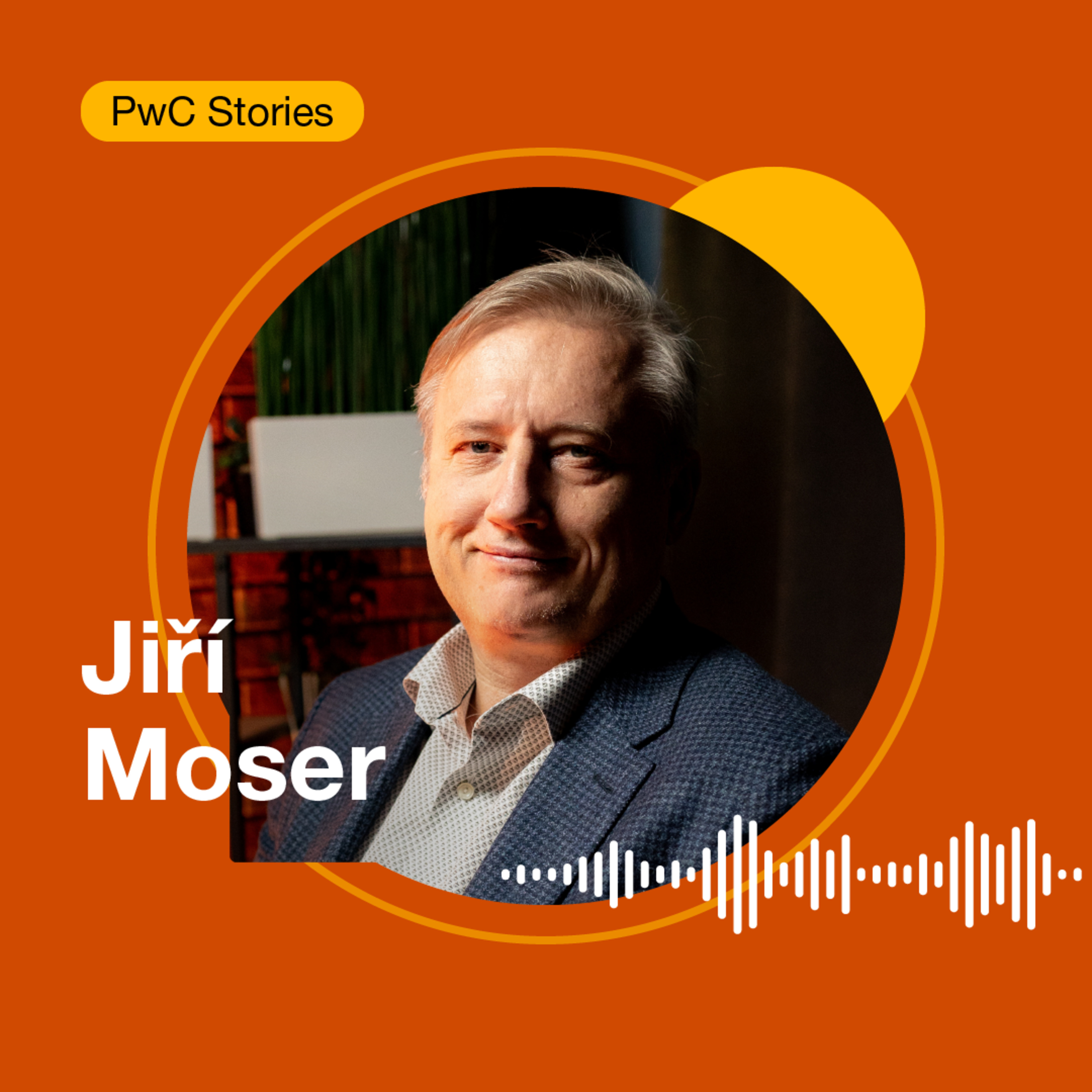PwC stories