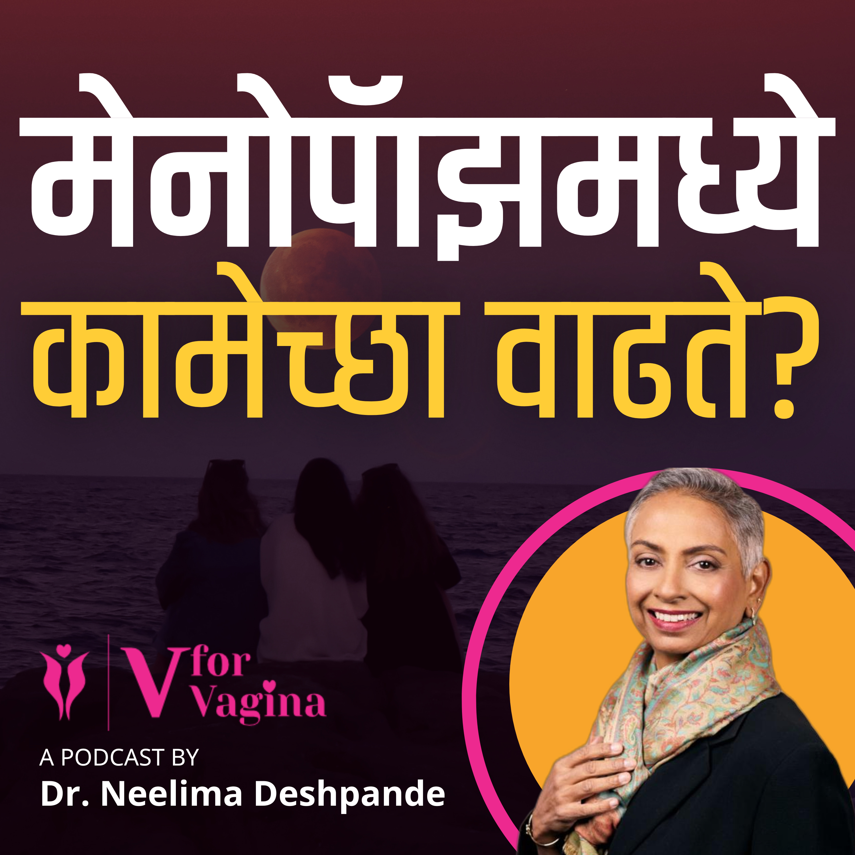 V for Vagina