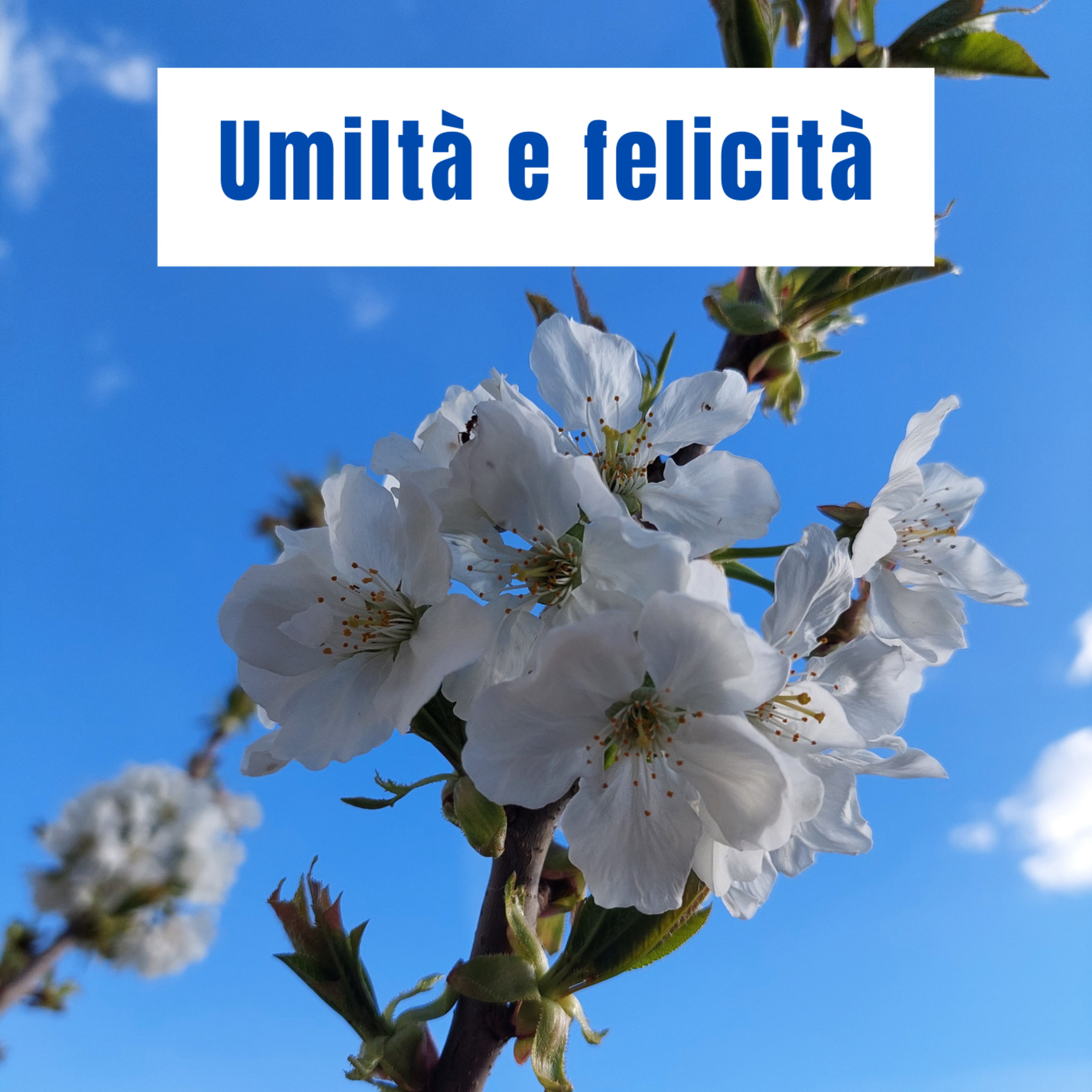 Respiro