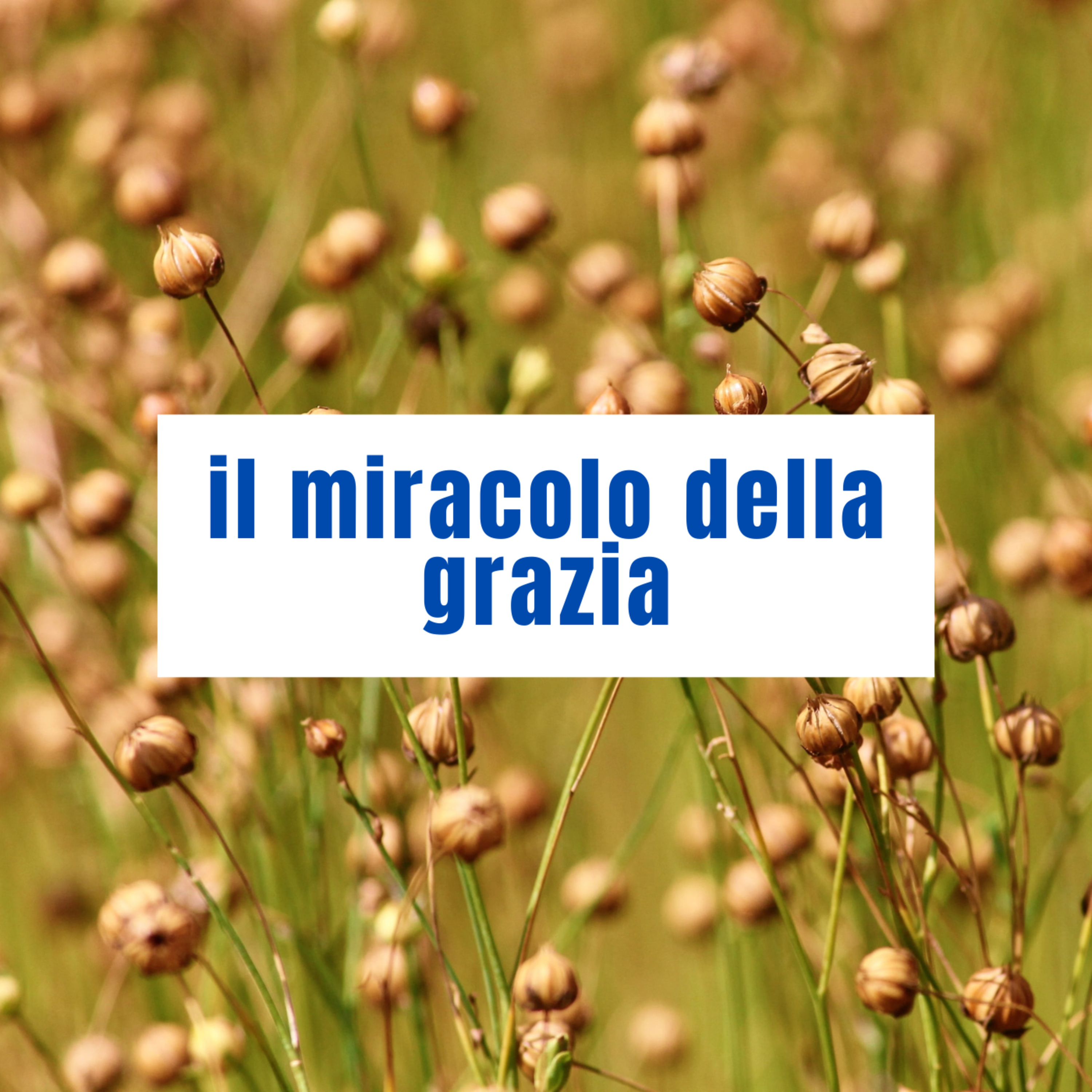 Respiro