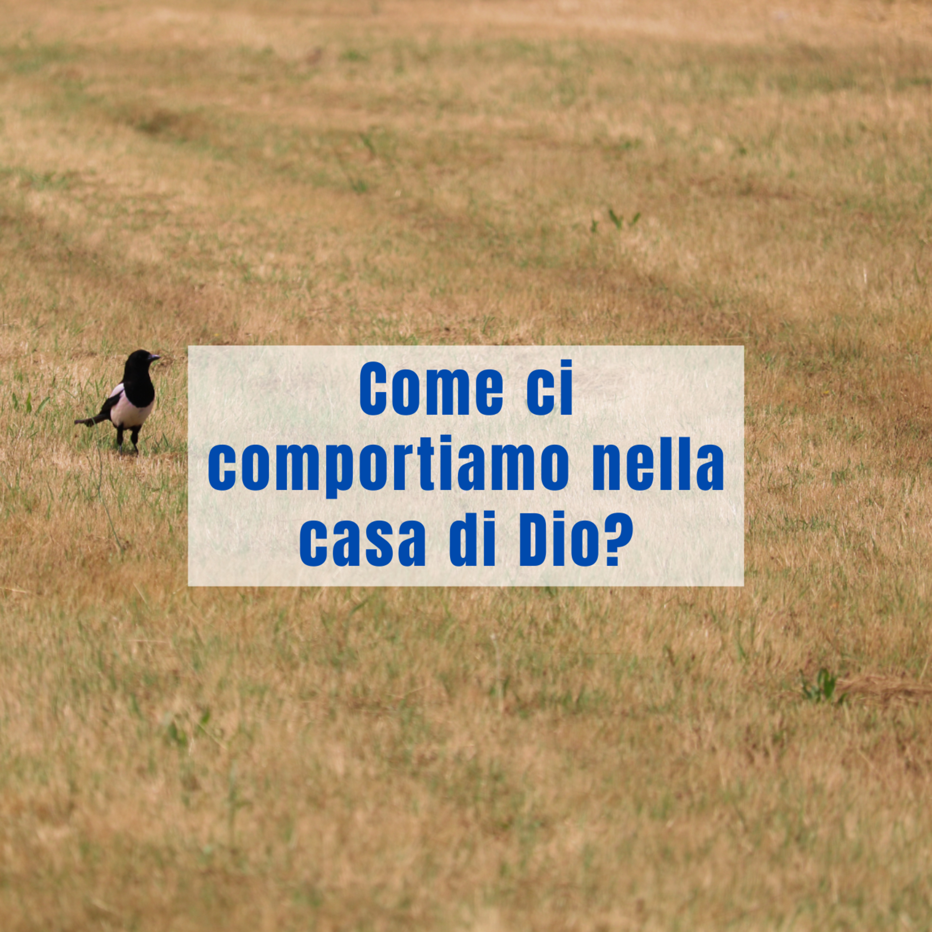 Respiro