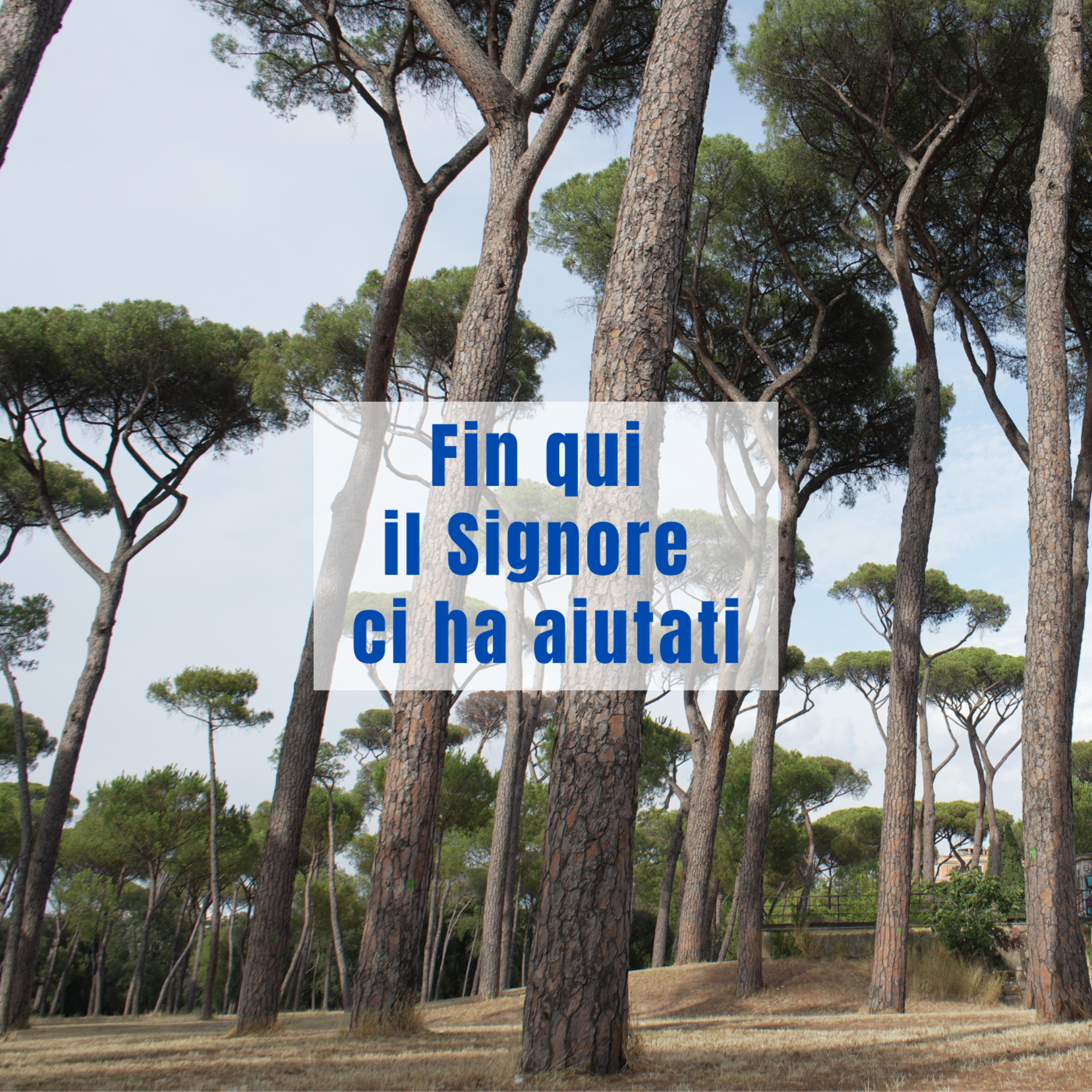 Respiro