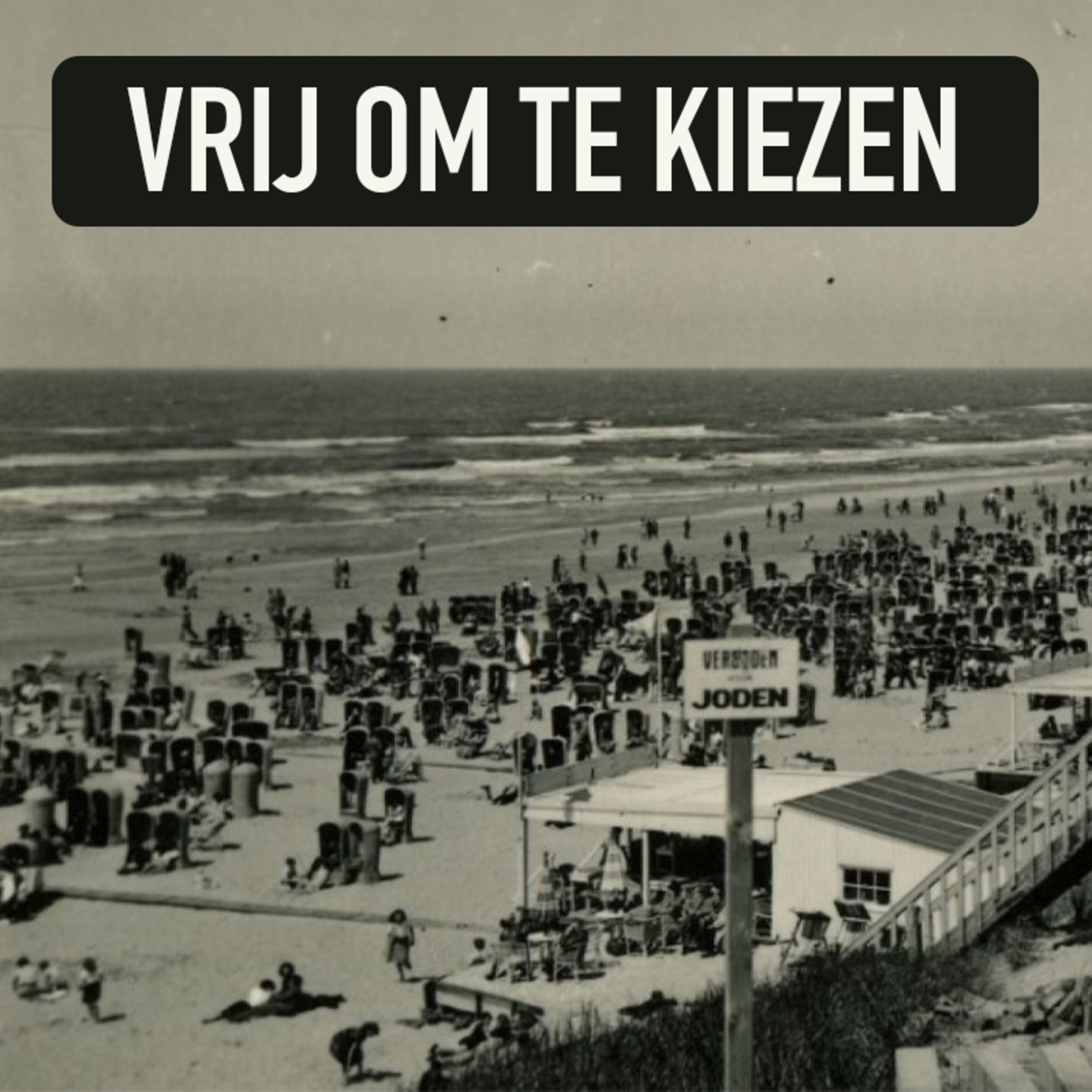 Wij Stellen Hier De Vragen