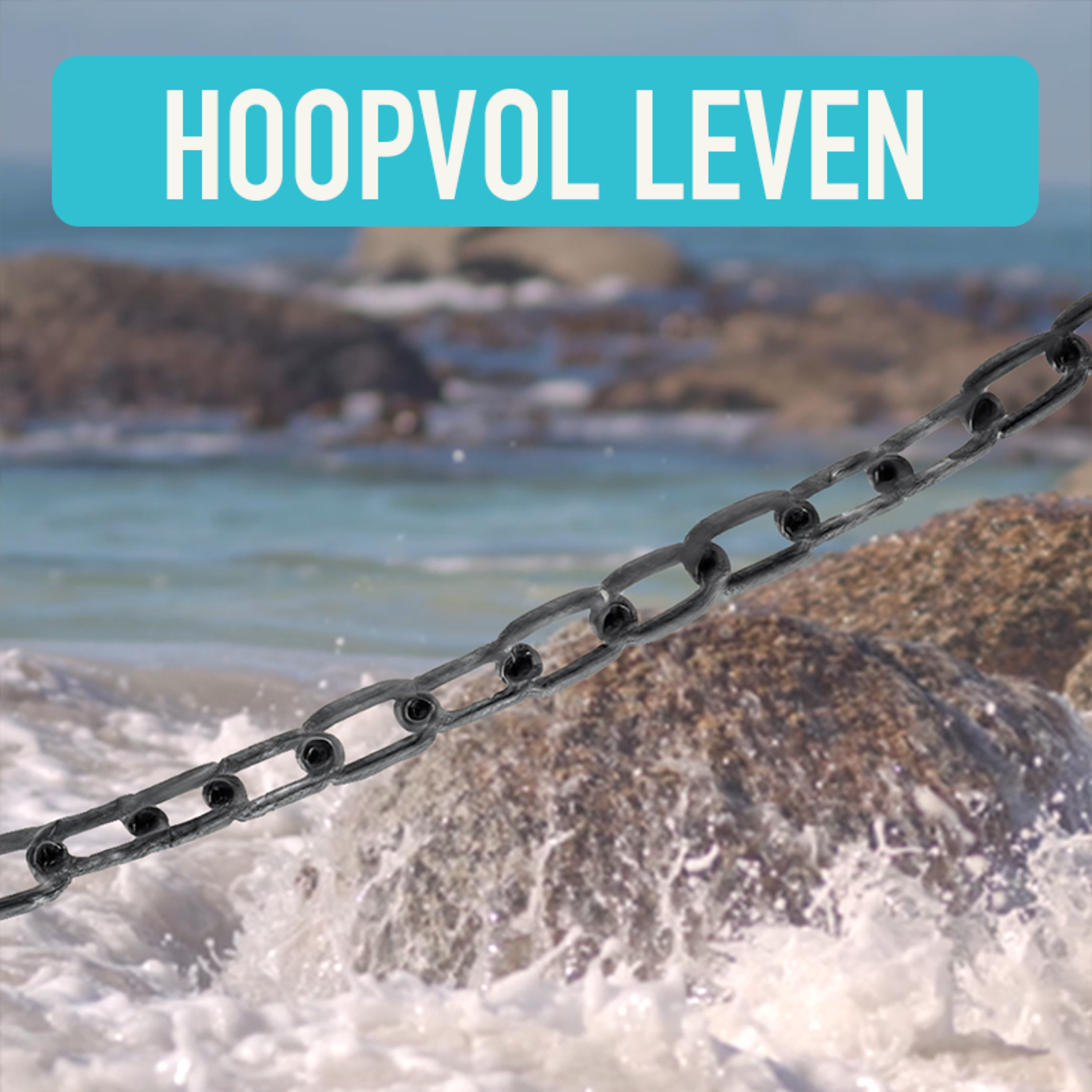 Wij Stellen Hier De Vragen