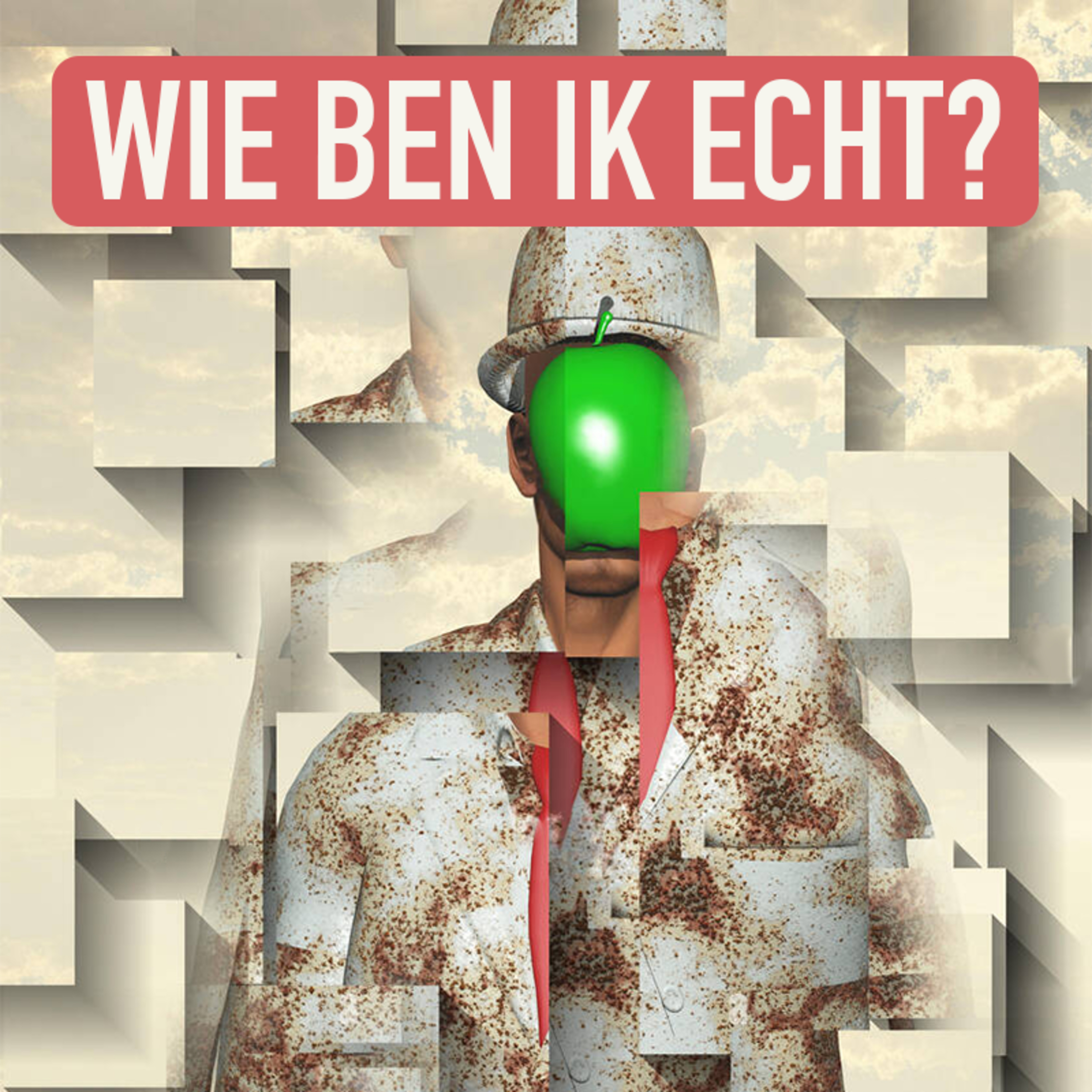 Wij Stellen Hier De Vragen