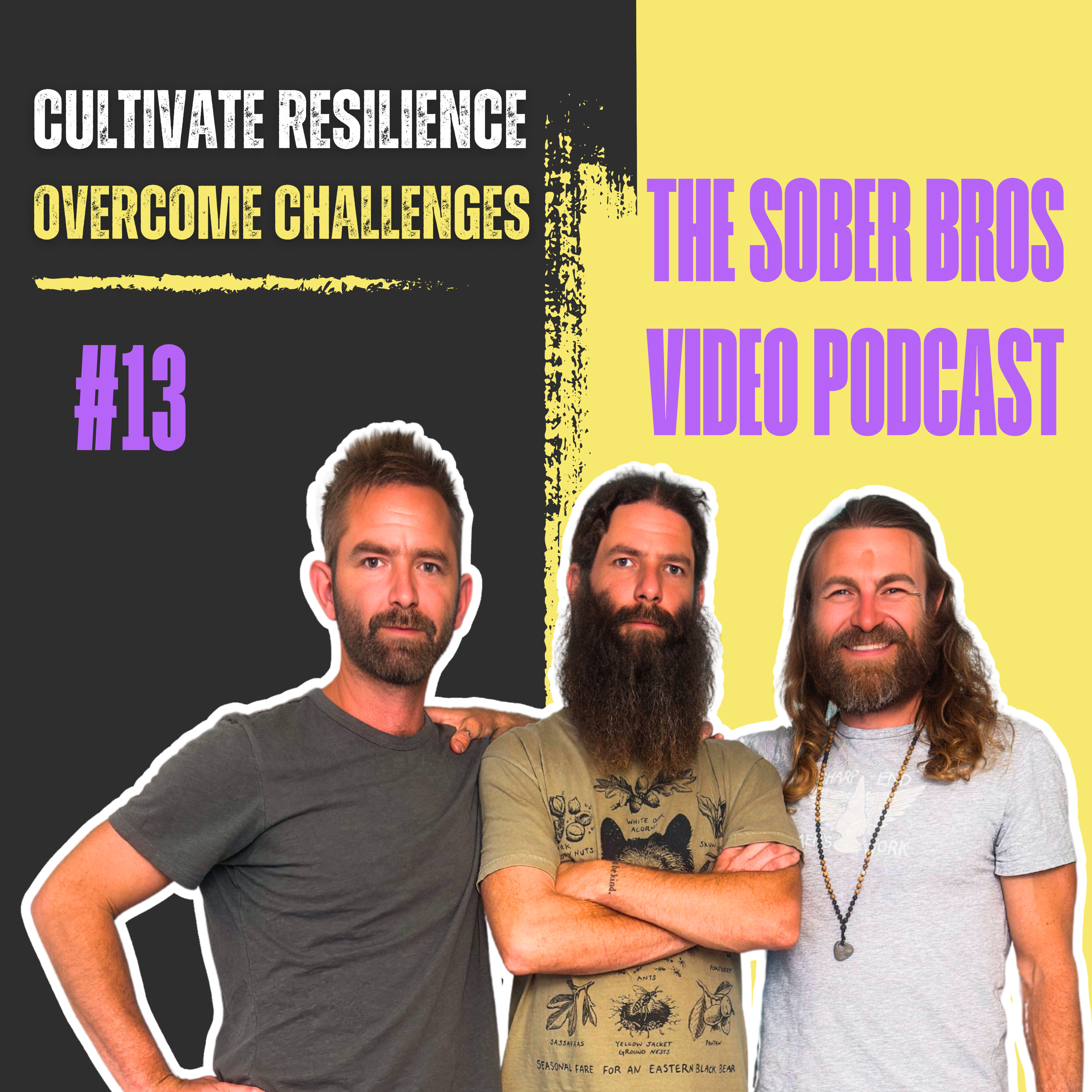 The Sober Bros